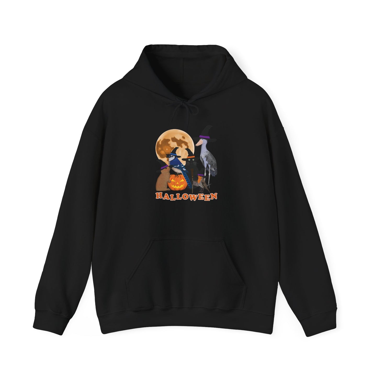 Blue Jay, Shoebill and Robin Hoodie on bird background