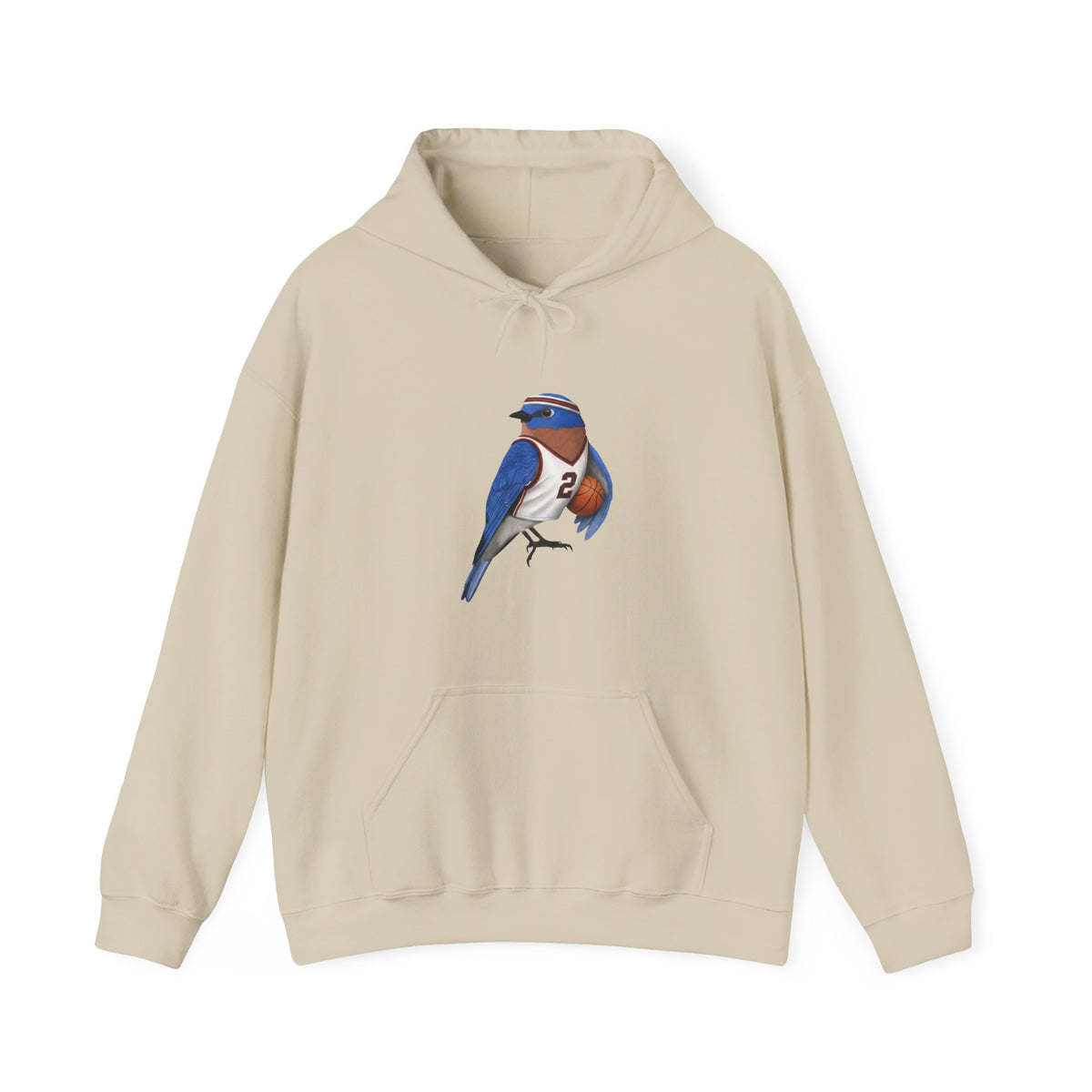 Bluebird Hoodie in Black