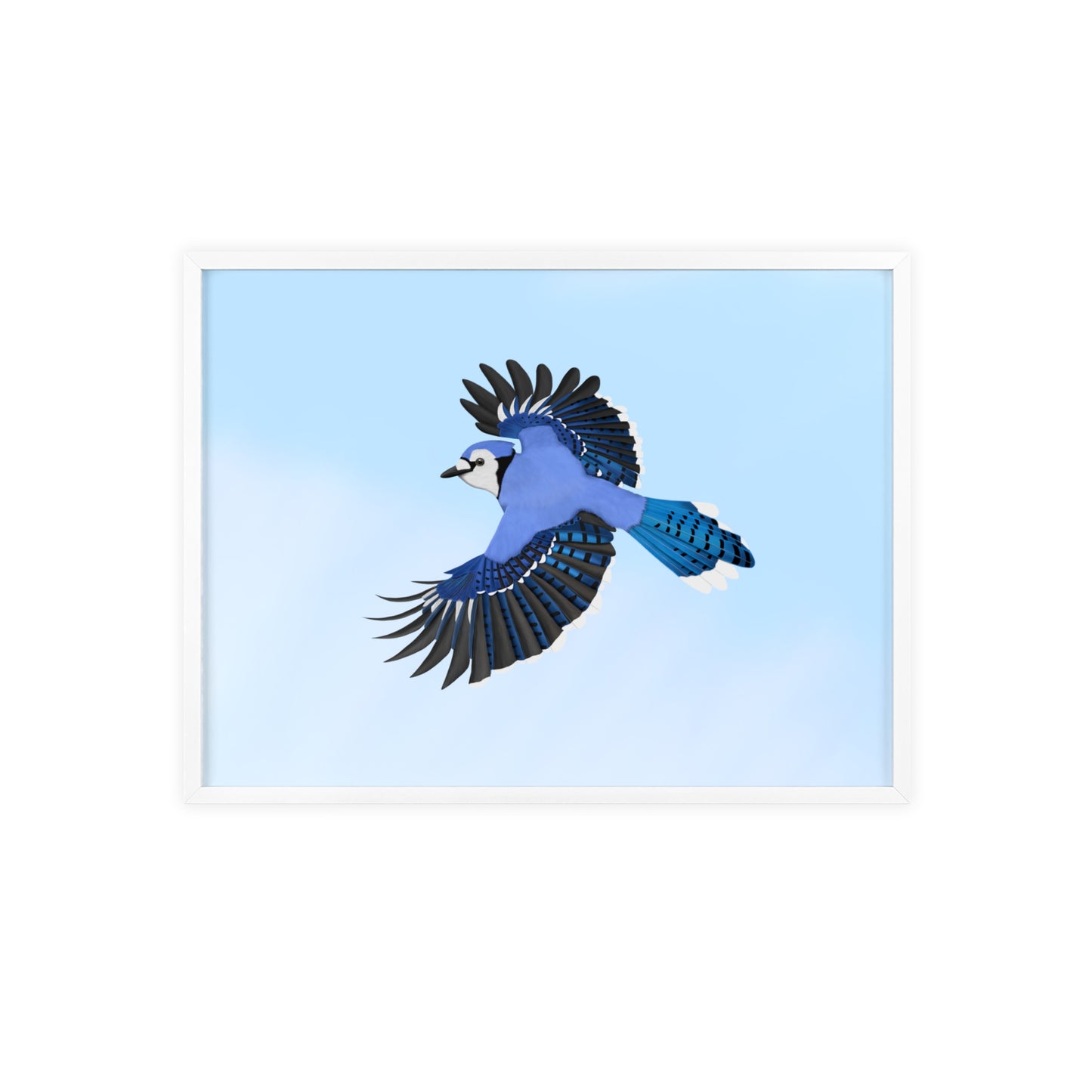Vogel Poster im Holzrahmen - Blue Jay Poster Gartenvogel Singvogel
