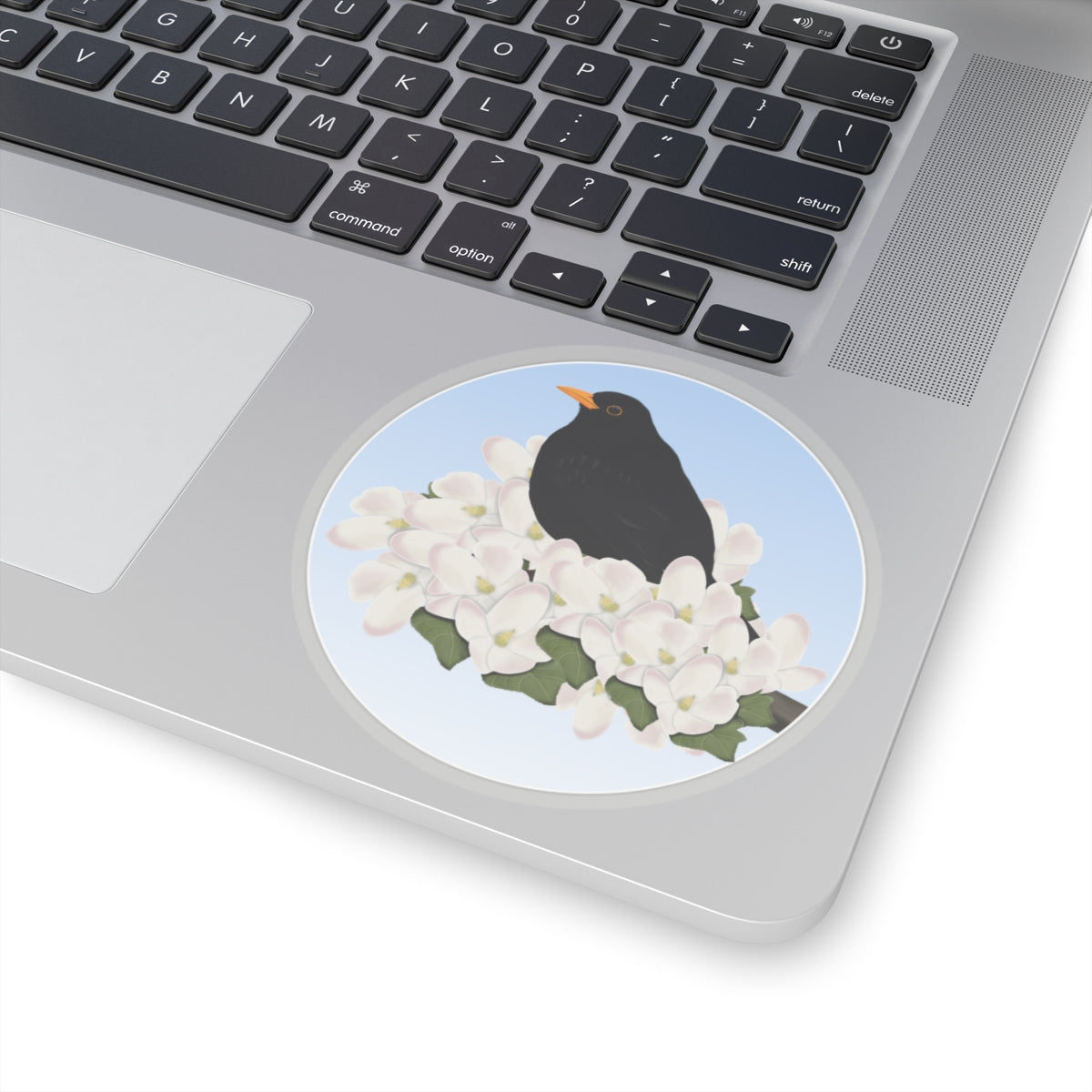 Blackbird Spring Apple Blossoms Bird Kiss-Cut Sticker