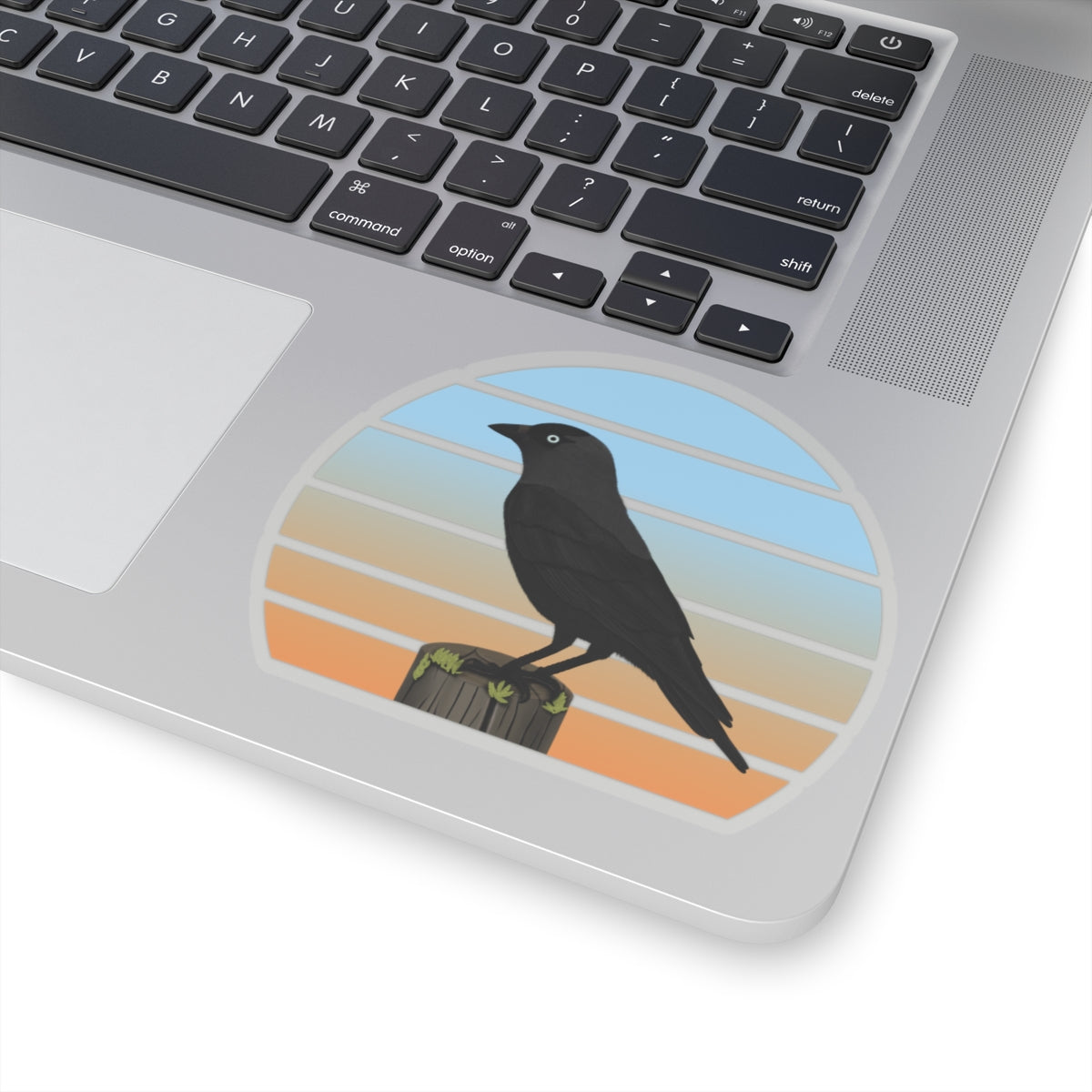 Jackdaw Bird Sticker
