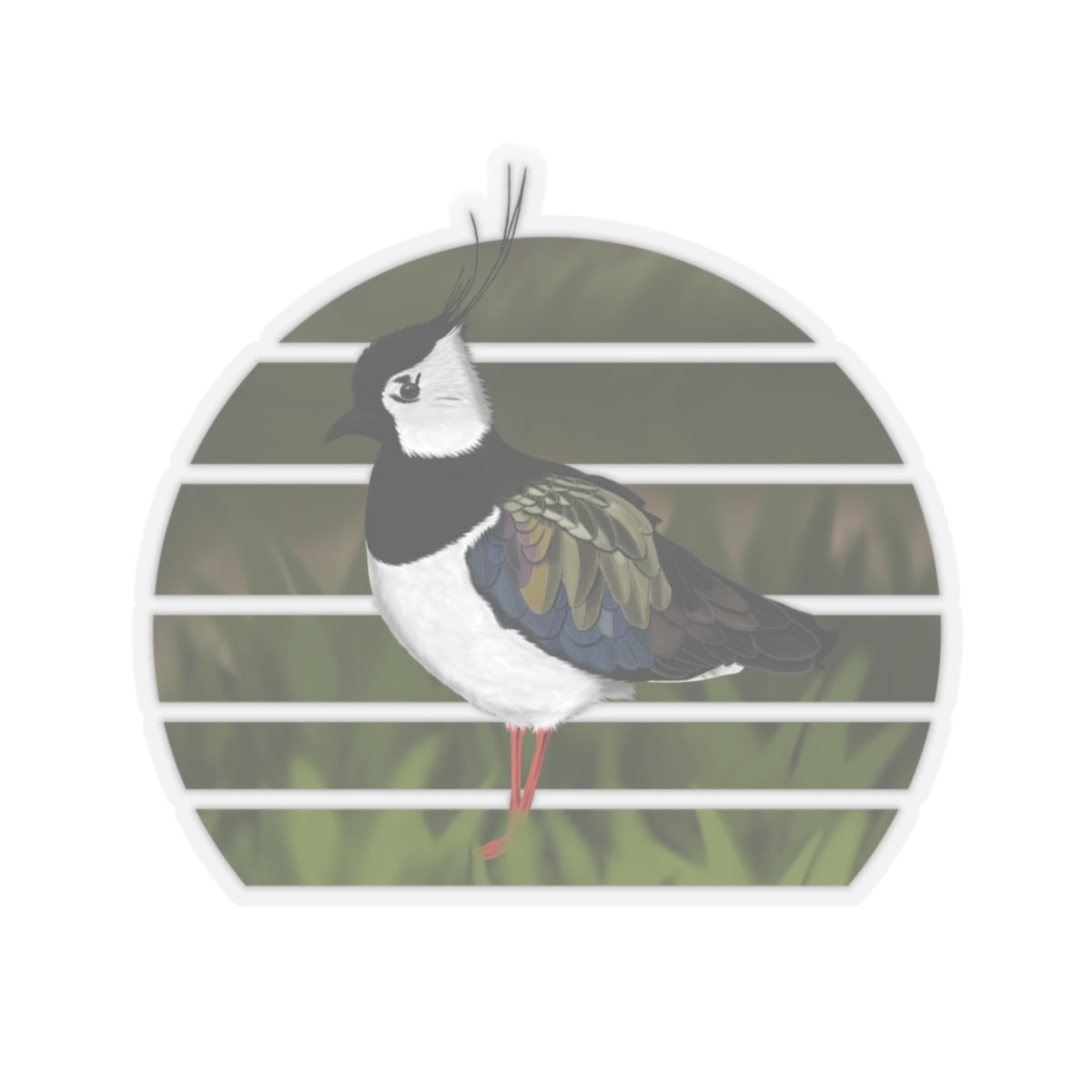Lapwing Bird Sticker