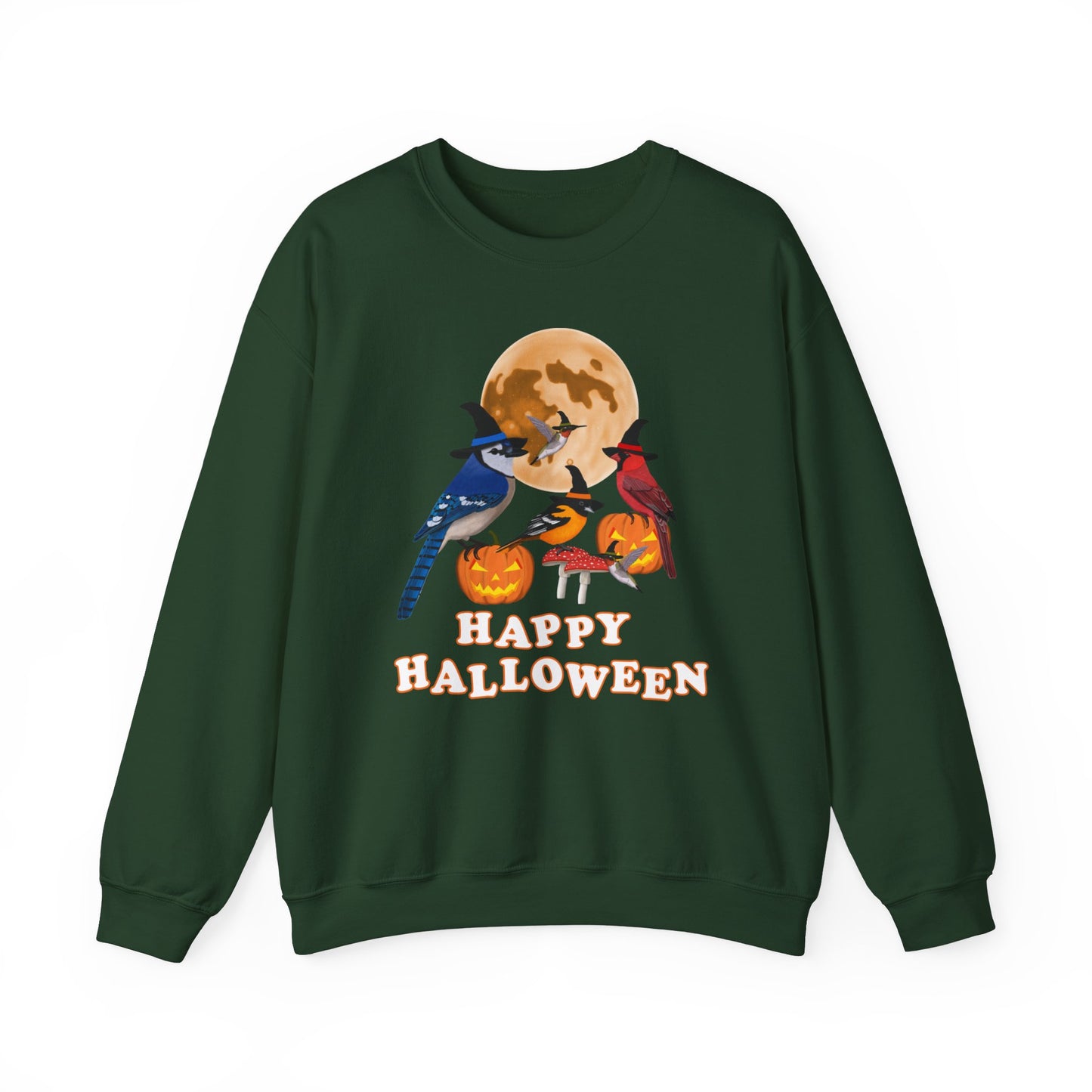 Blue Jay Cardinal Oriole Hummingbird Halloween Birds Witch Birdwatcher Sweatshirt