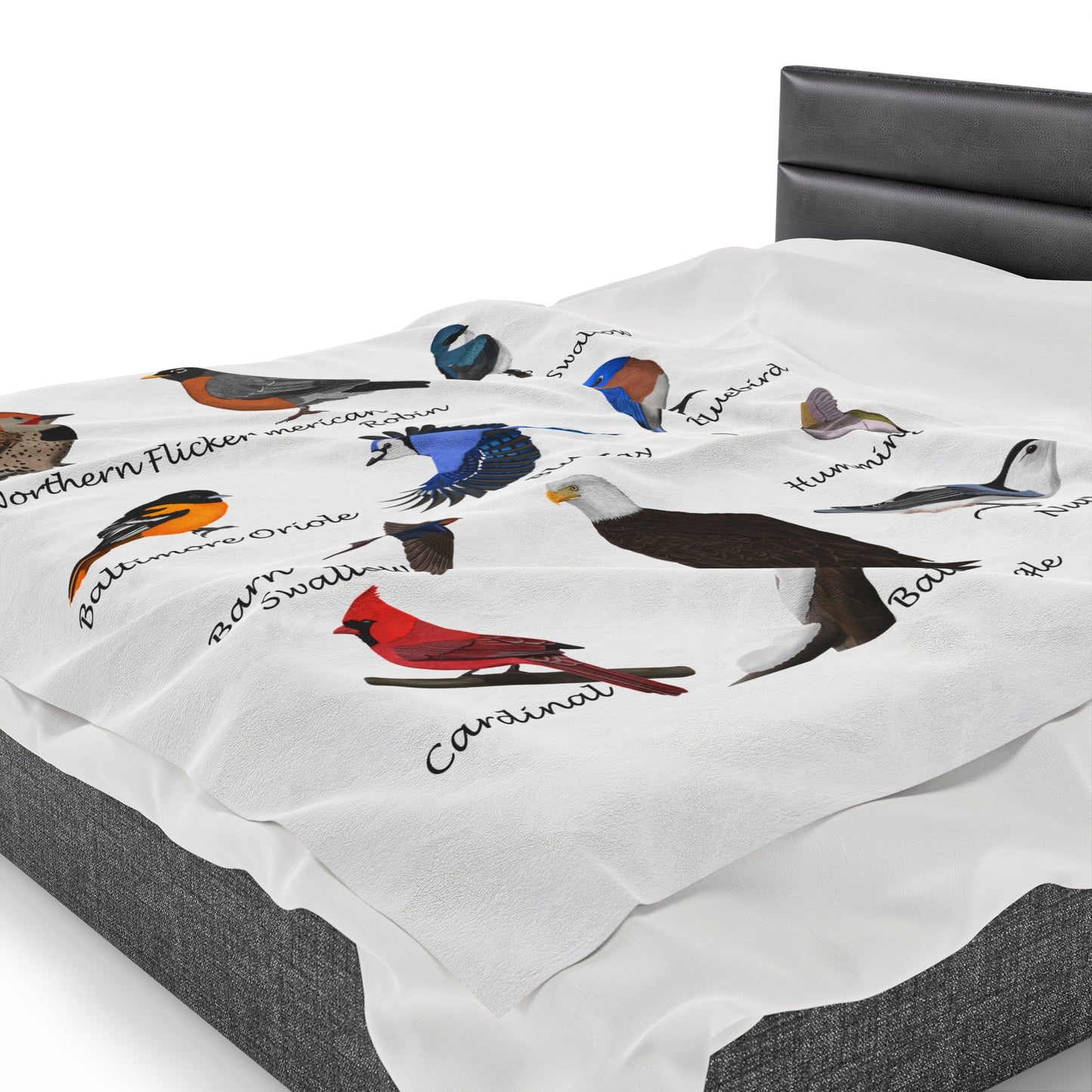 Hummingbird, Bluebird, Blue Jay, Cardinal and Robin Sofa Blankets on All Over Print background