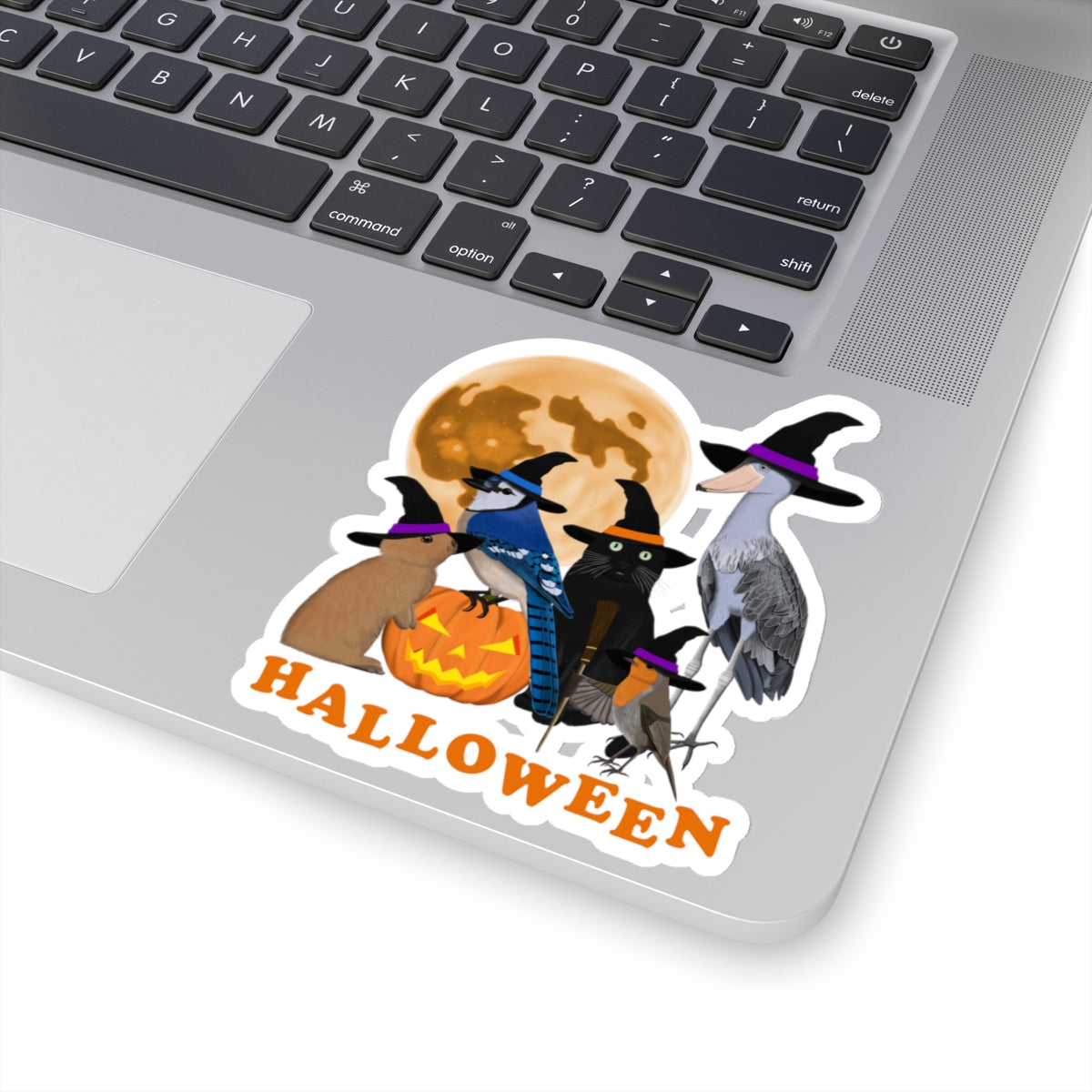 Blue Jay, Shoebill and Robin Paper products – halloween bird sticker style