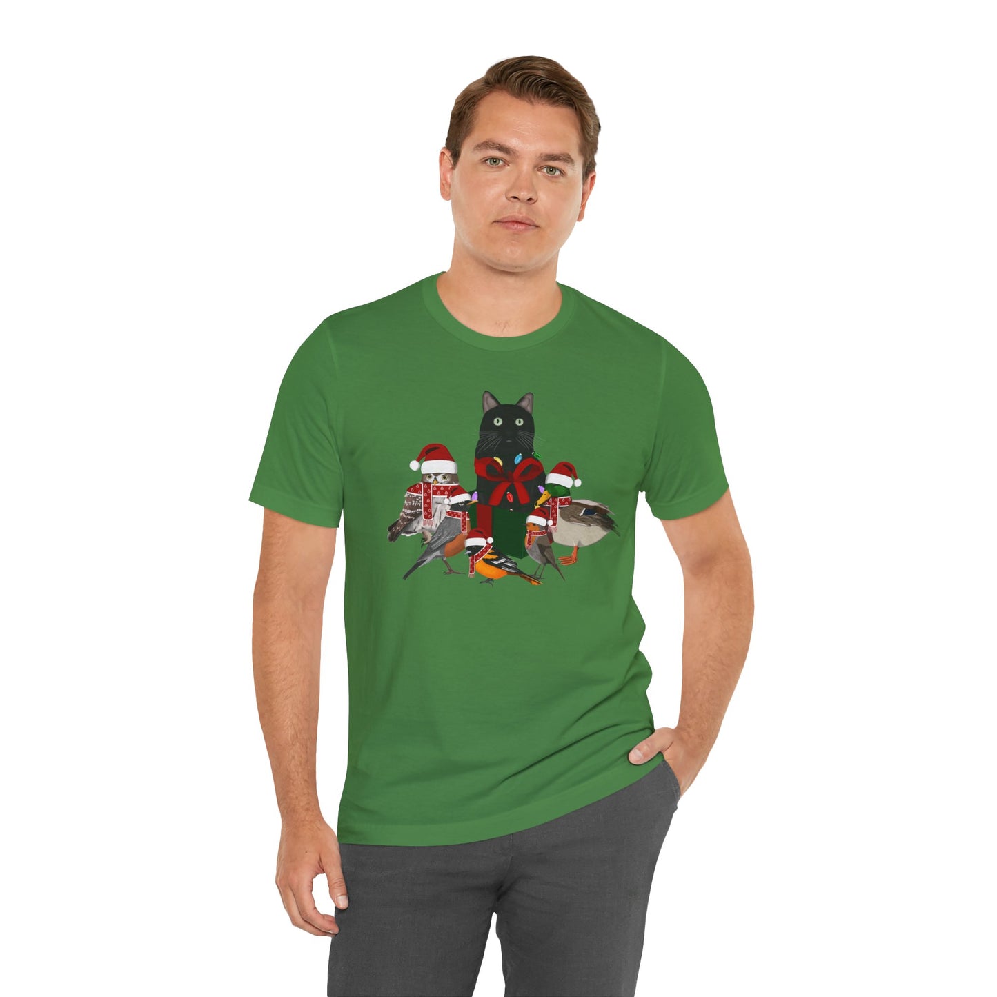 Robin Mallard Oriole Owl with Cat in a Box and Fairy Lights Christmas Bird T-Shirt