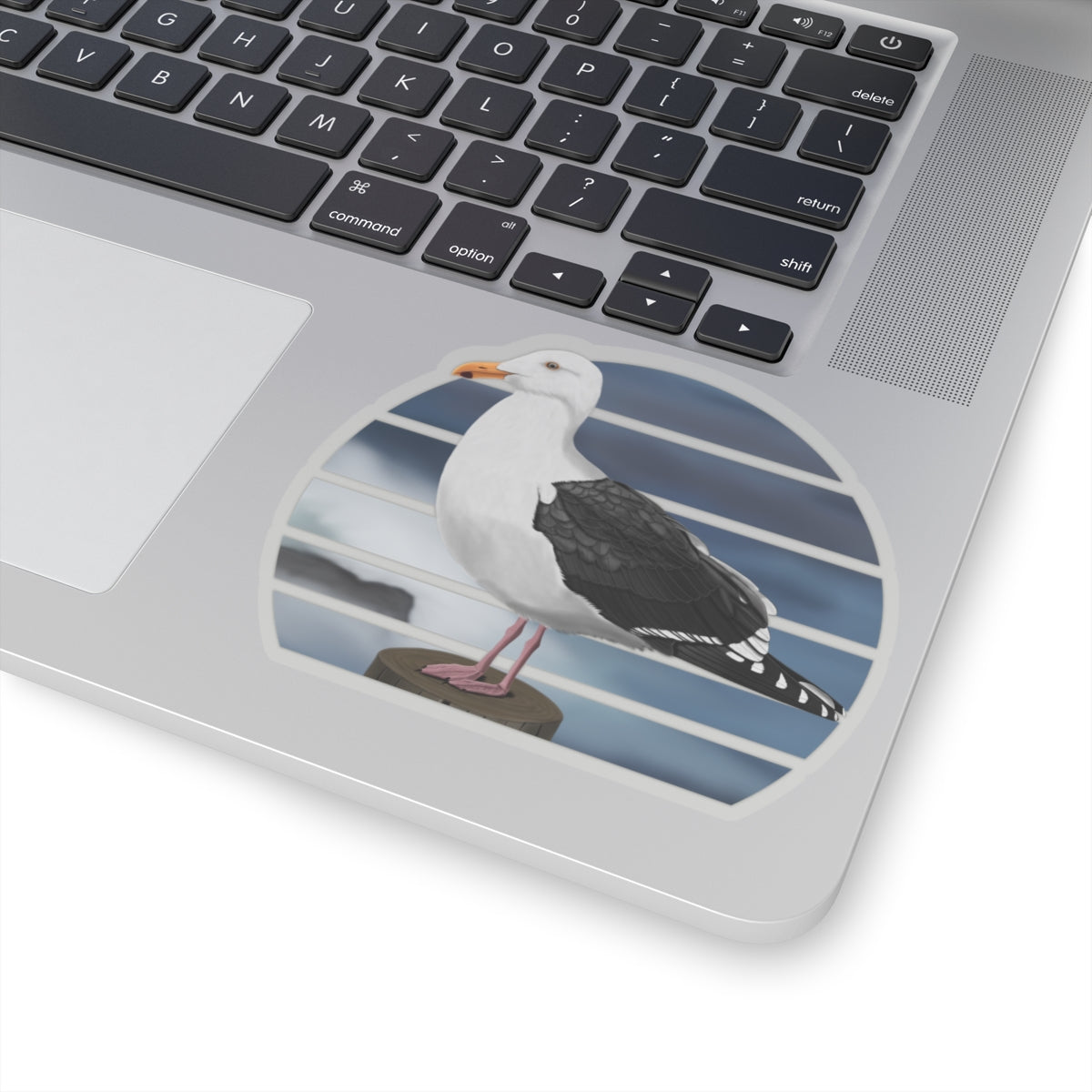 Seagull Bird Sticker