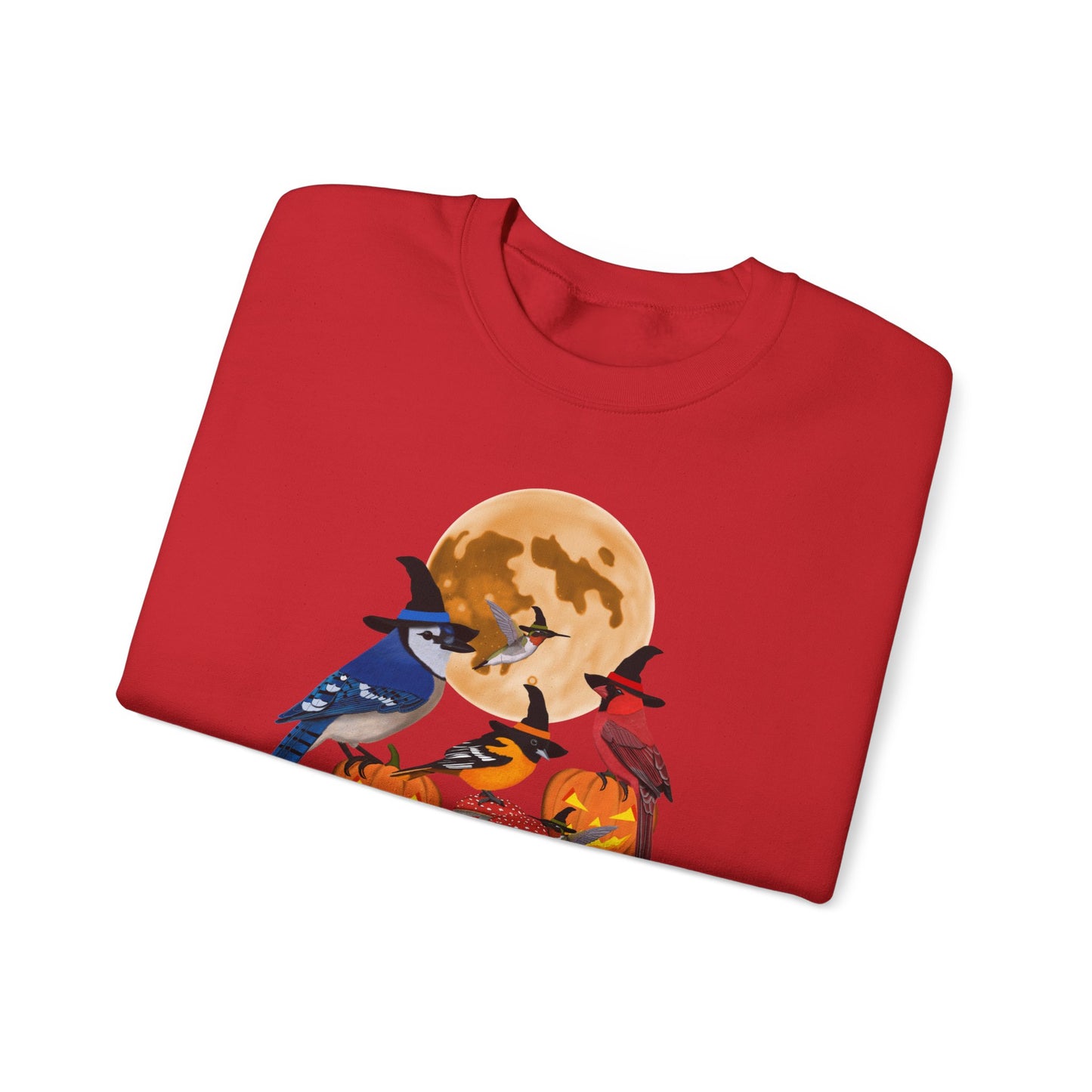 Blue Jay Cardinal Oriole Hummingbird Halloween Birds Witch Birdwatcher Sweatshirt