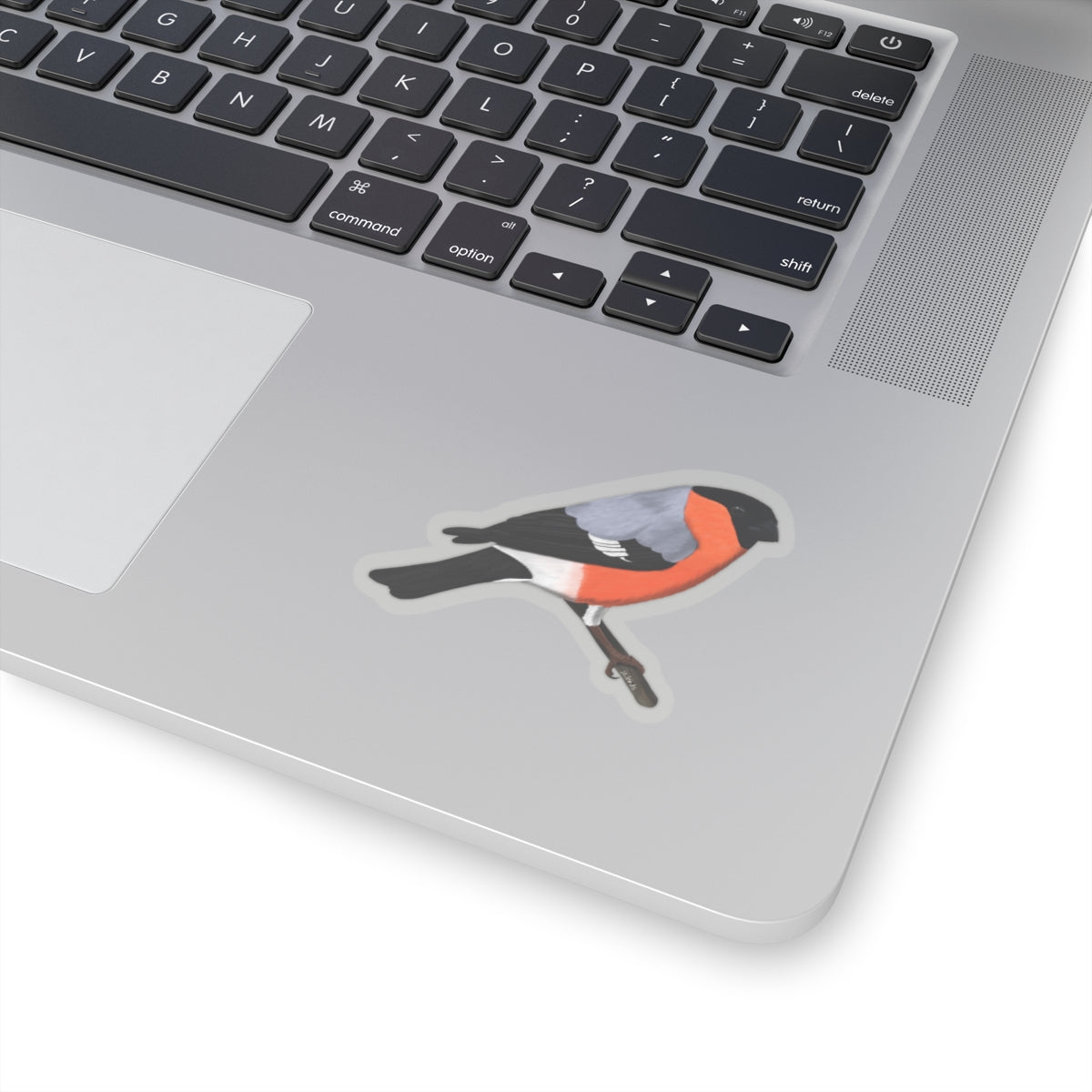 Bullfinch Bird Kiss-Cut Sticker - jz.birds