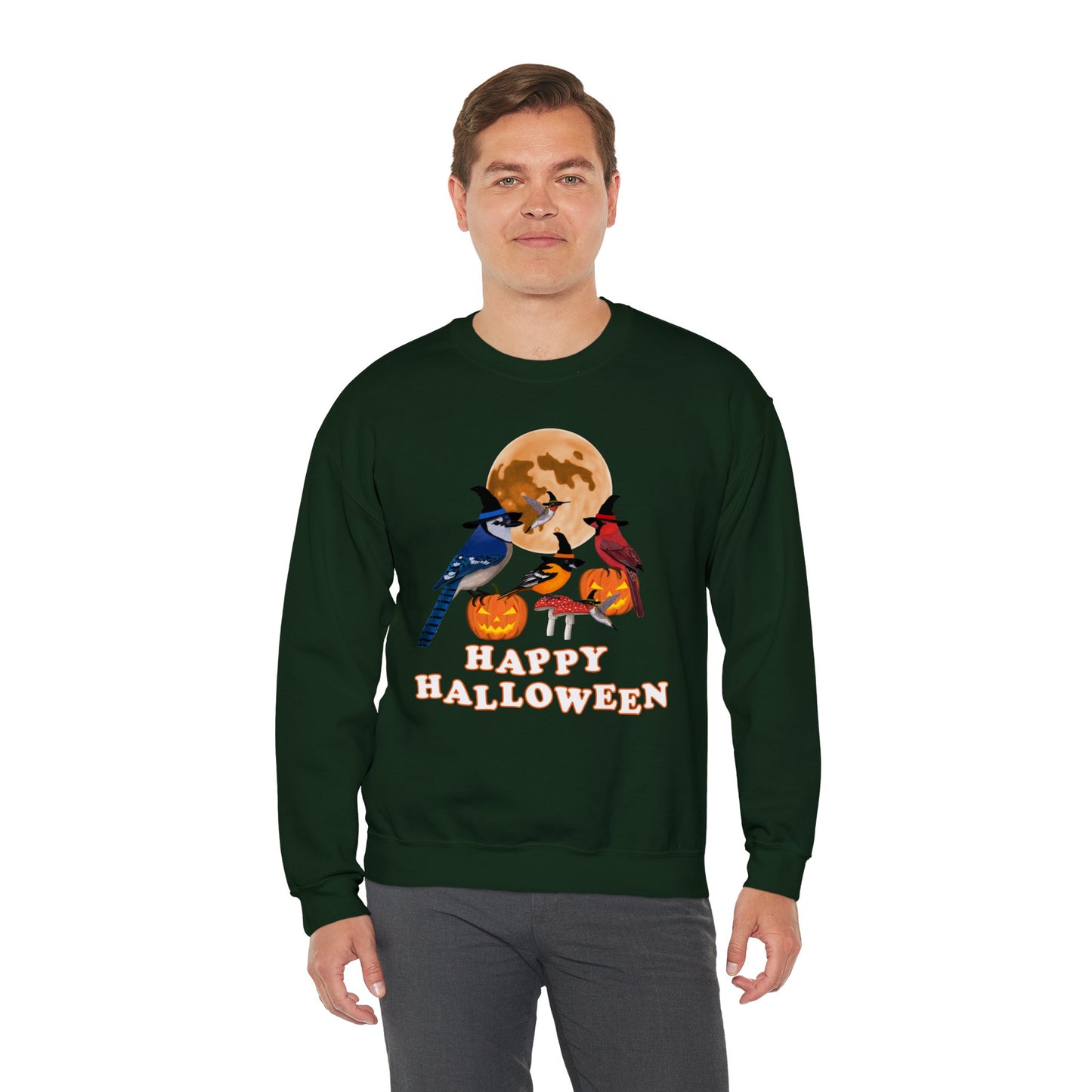 Blue Jay Cardinal Oriole Hummingbird Halloween Birds Witch Birdwatcher Sweatshirt