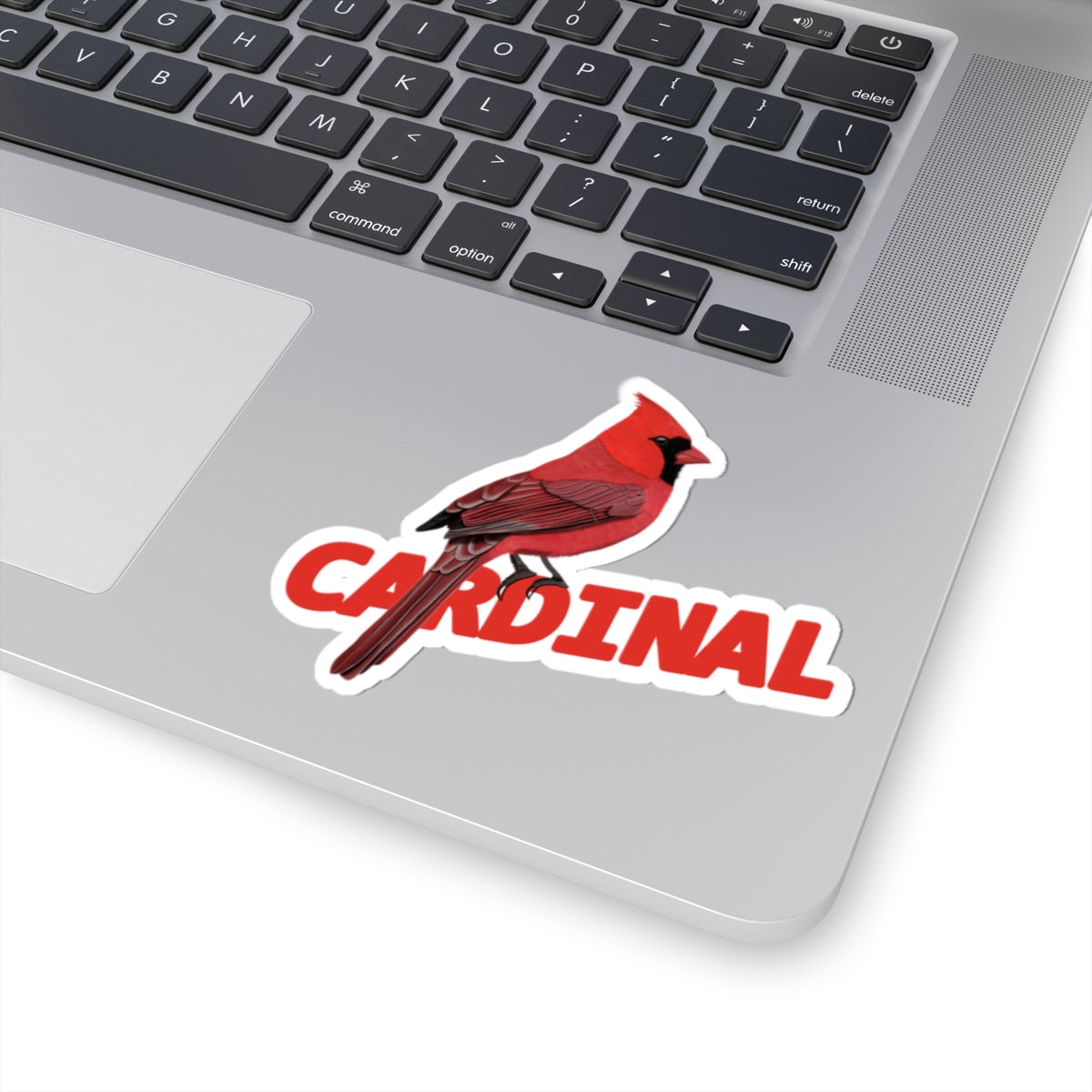 Cardinal Sticker Bird Lover & Bird Watcher