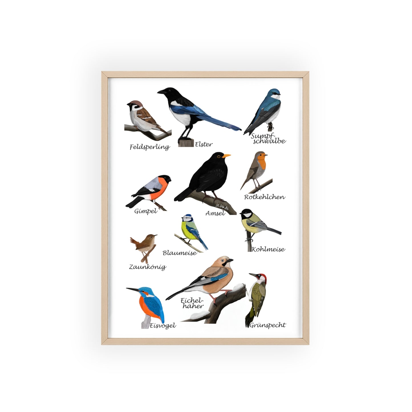 Vogel Poster im Holzrahmen - Gartenvögel Amsel Rotkehlchen Blaumeise