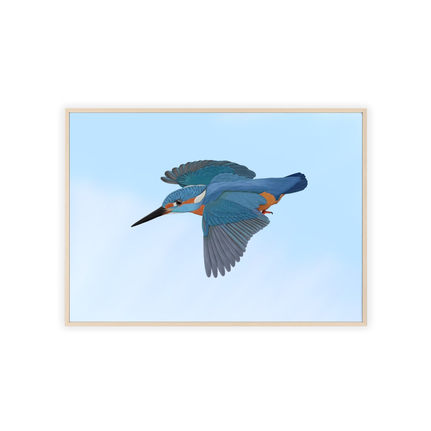 Vogel Poster im Holzrahmen - Eisvogel Poster Gartenvogel Singvogel