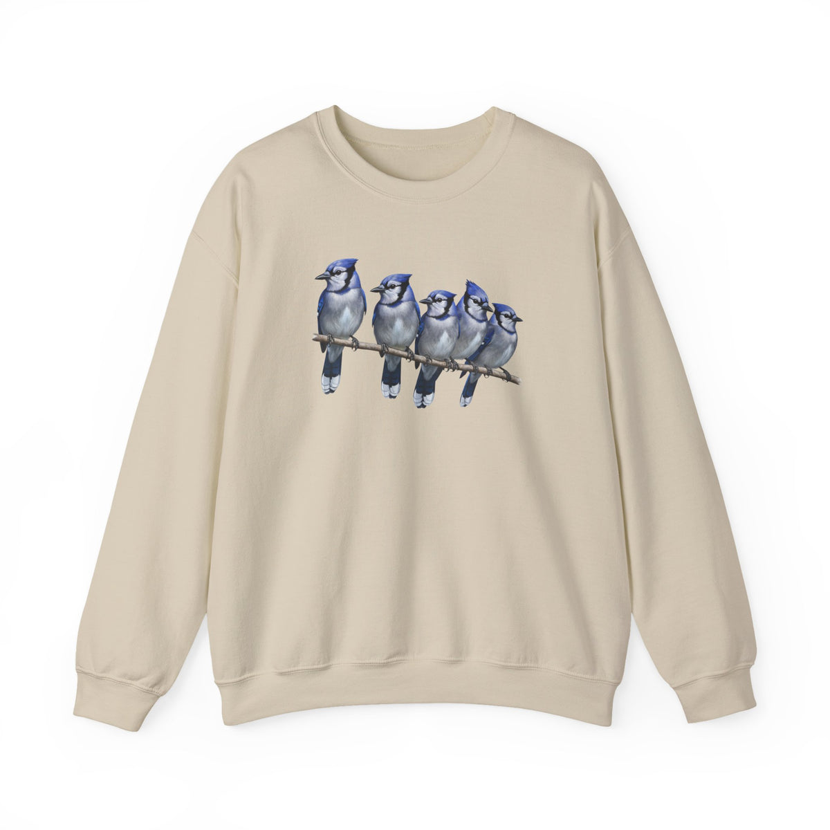Blue Jay Bird Sweatshirt – Animal Lover Gift, Avian Enthusiast