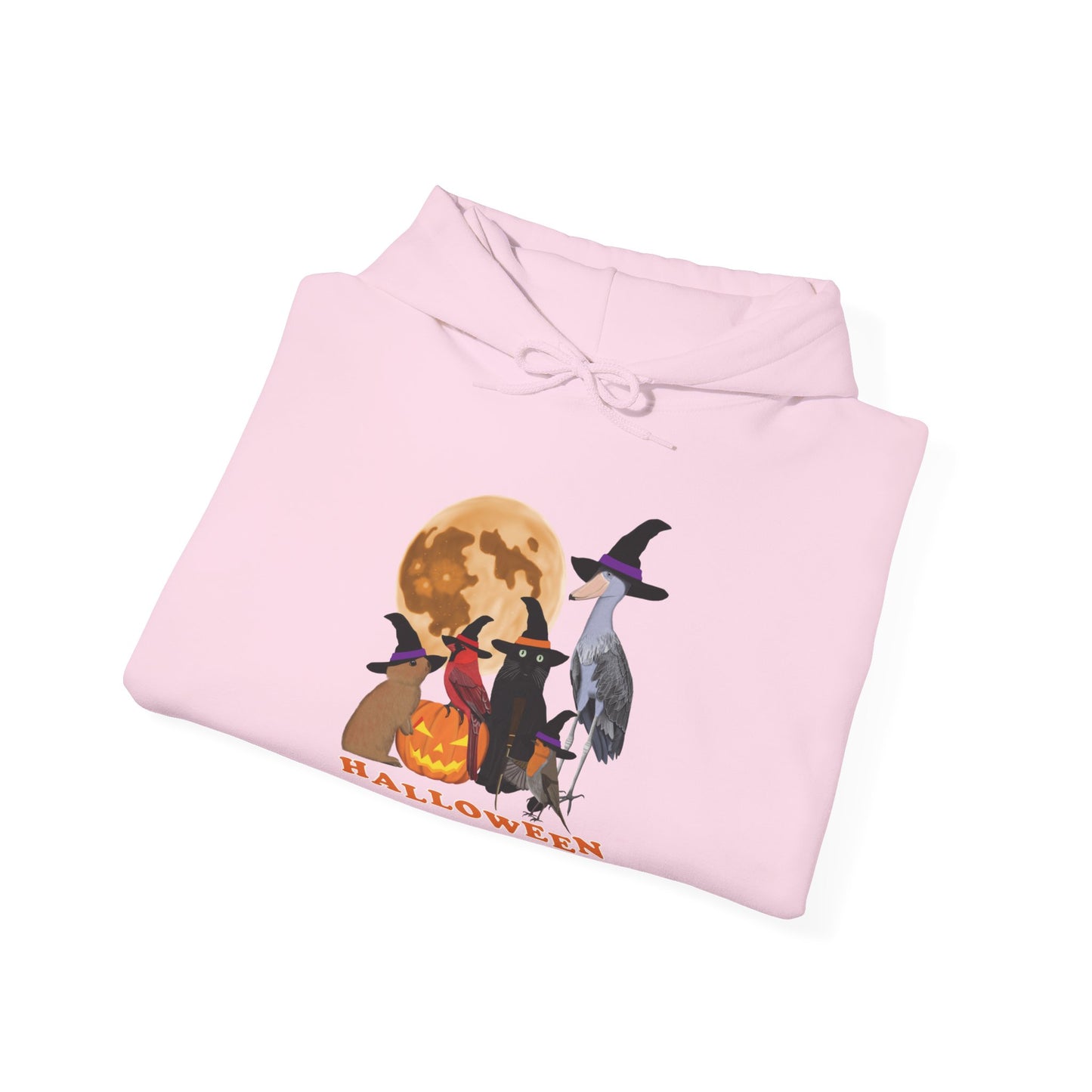Cardinal Robin Shoebill with Cat and Bunny Halloween Bird Hoodie