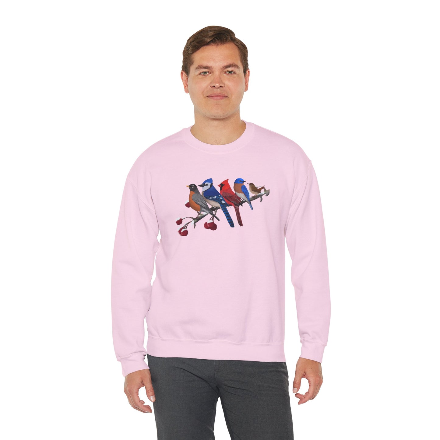 Backyard Birds Robin Blue Jay Cardinal Bluebird Wren Birdwatcher Christmas Bird Sweatshirt