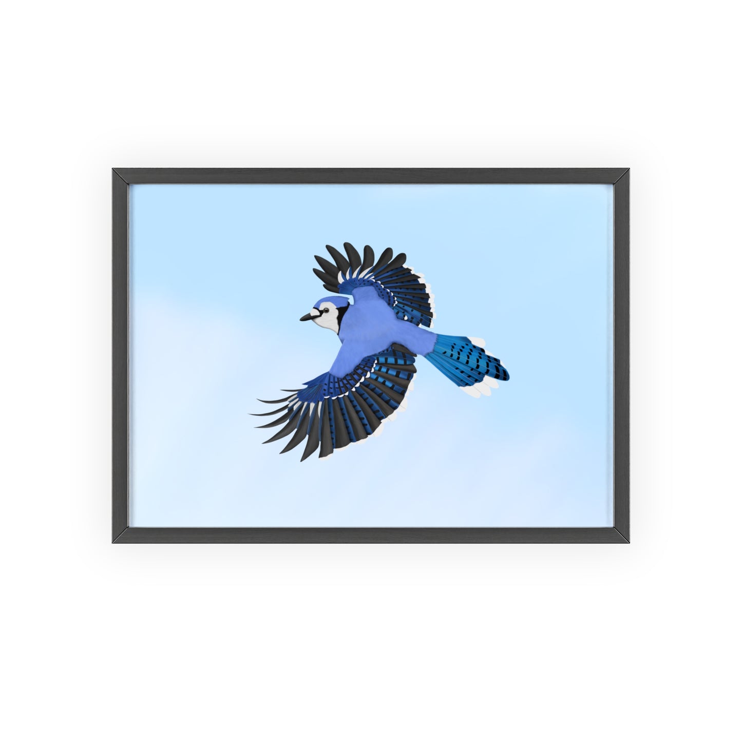 Vogel Poster im Holzrahmen - Blue Jay Poster Gartenvogel Singvogel