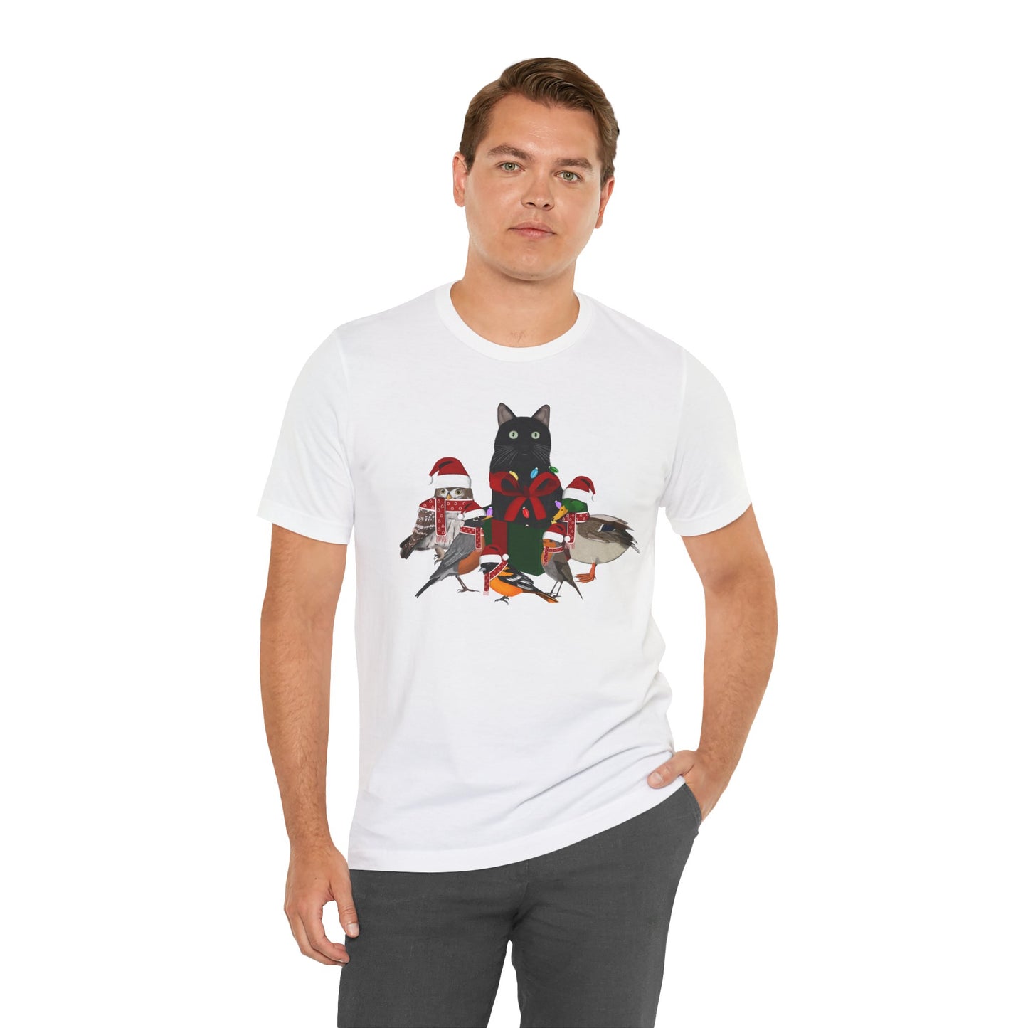 Robin Mallard Oriole Owl with Cat in a Box and Fairy Lights Christmas Bird T-Shirt