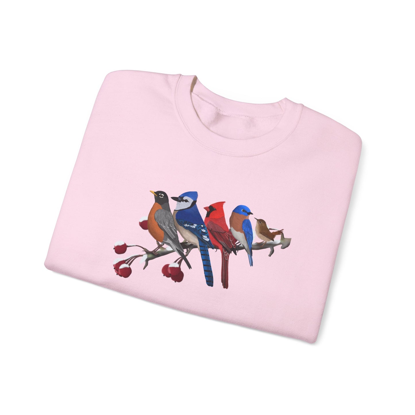 Backyard Birds Robin Blue Jay Cardinal Bluebird Wren Birdwatcher Christmas Bird Sweatshirt