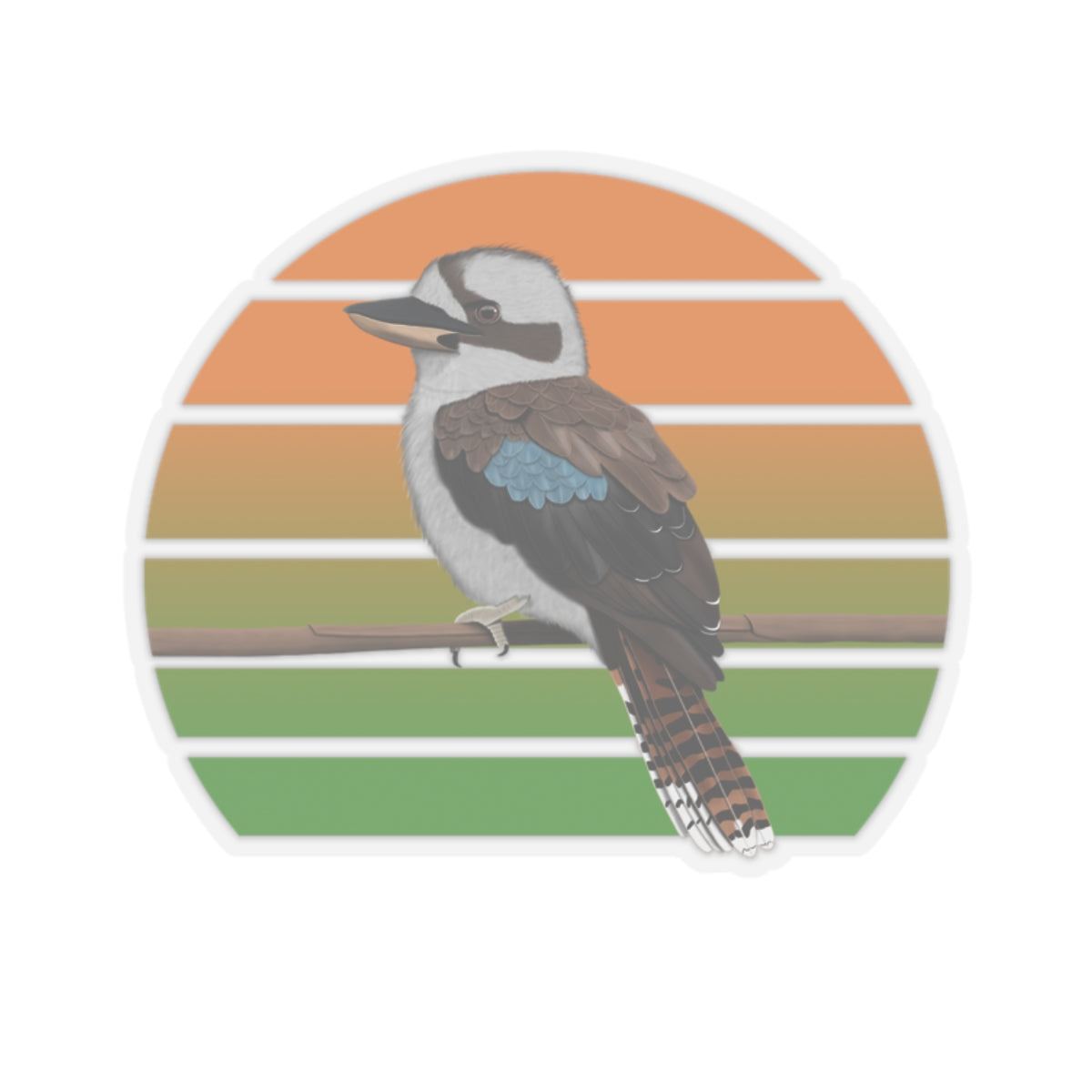 Kookaburra Bird Sticker
