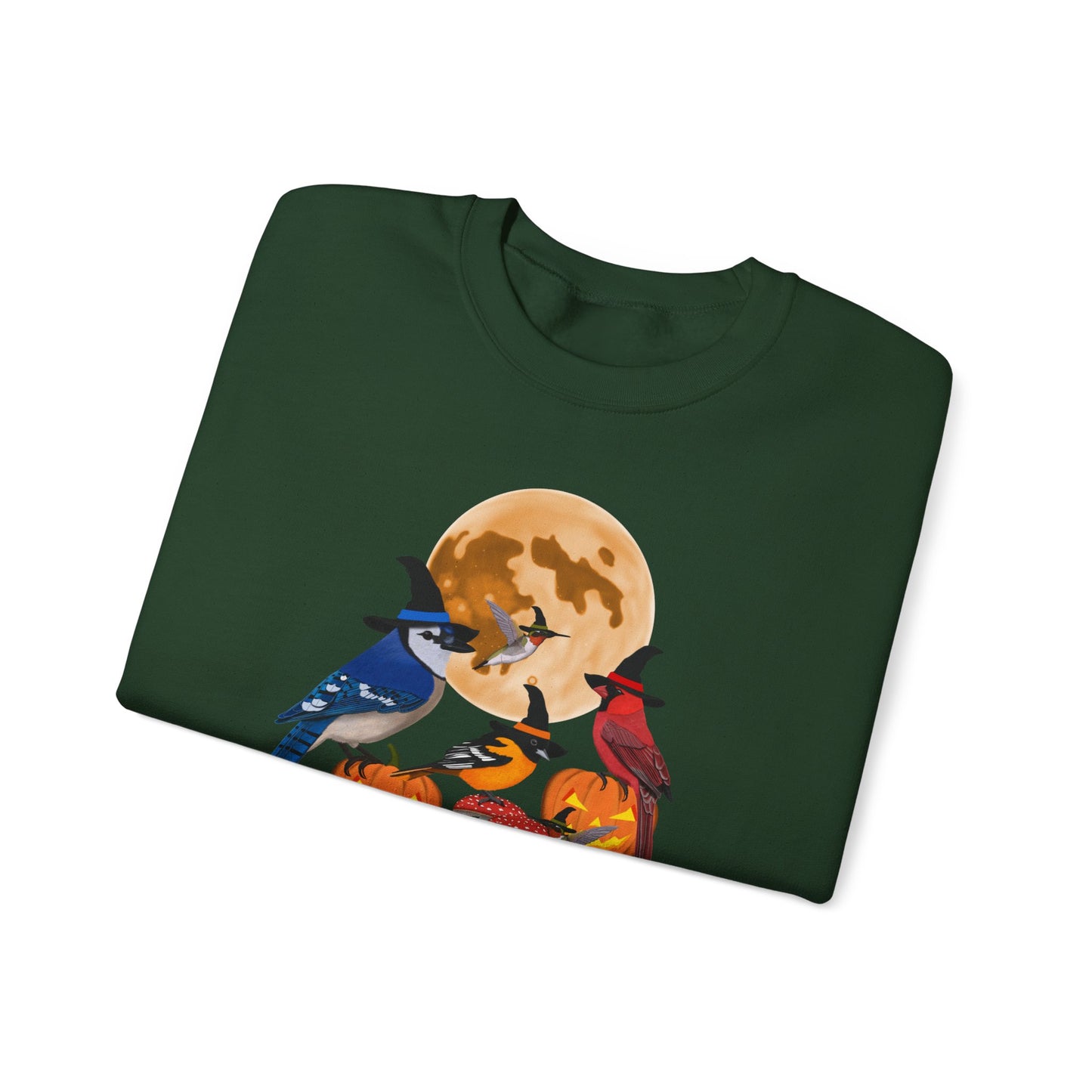 Blue Jay Cardinal Oriole Hummingbird Halloween Birds Witch Birdwatcher Sweatshirt