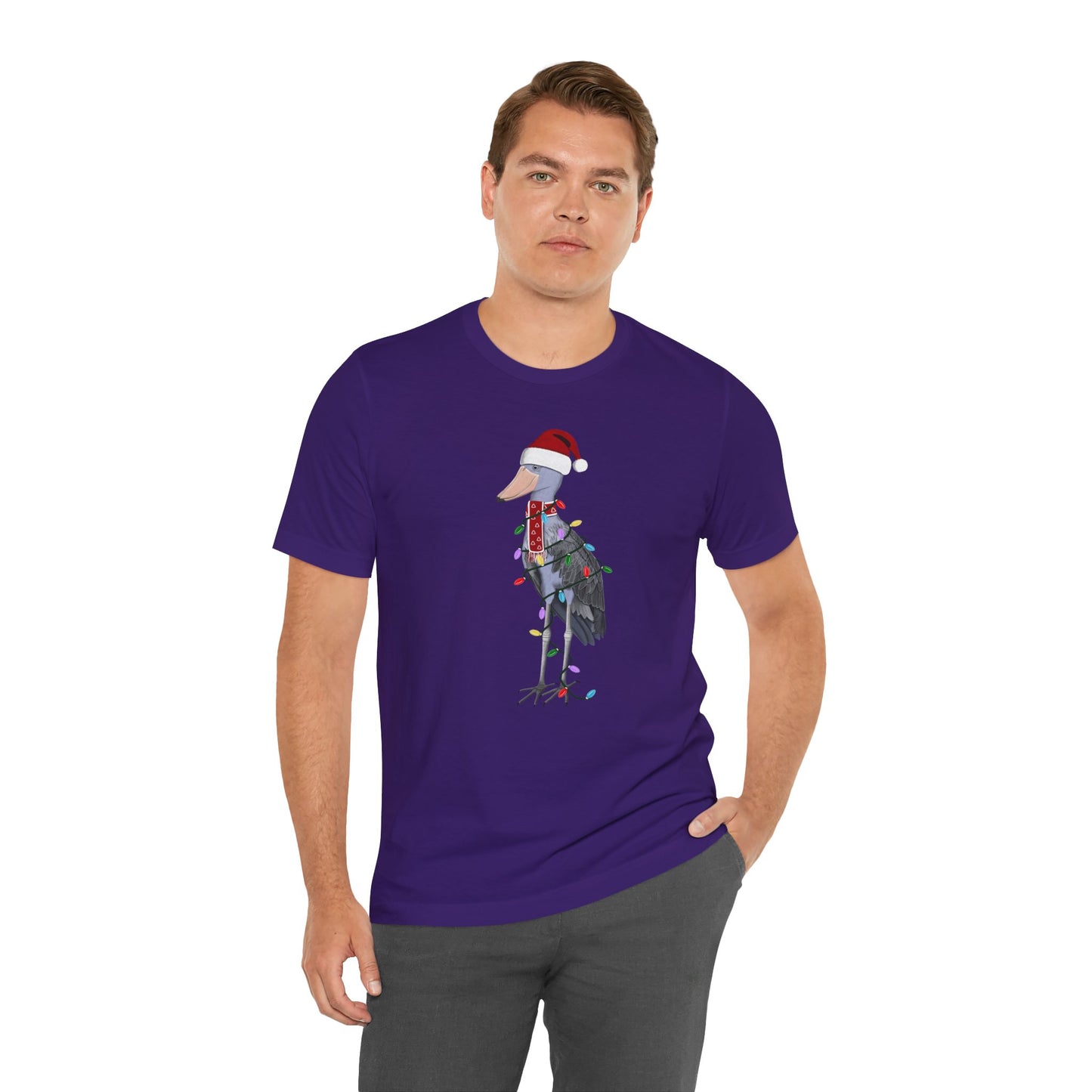 フェアリーライト付きハシビロコウのクリスマスバードTシャツ