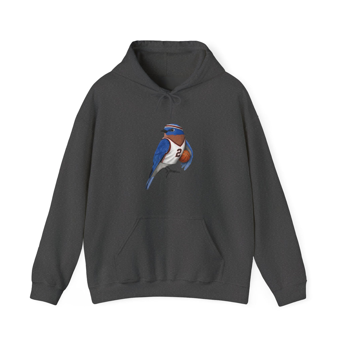 Bluebird Hoodie on basketball background