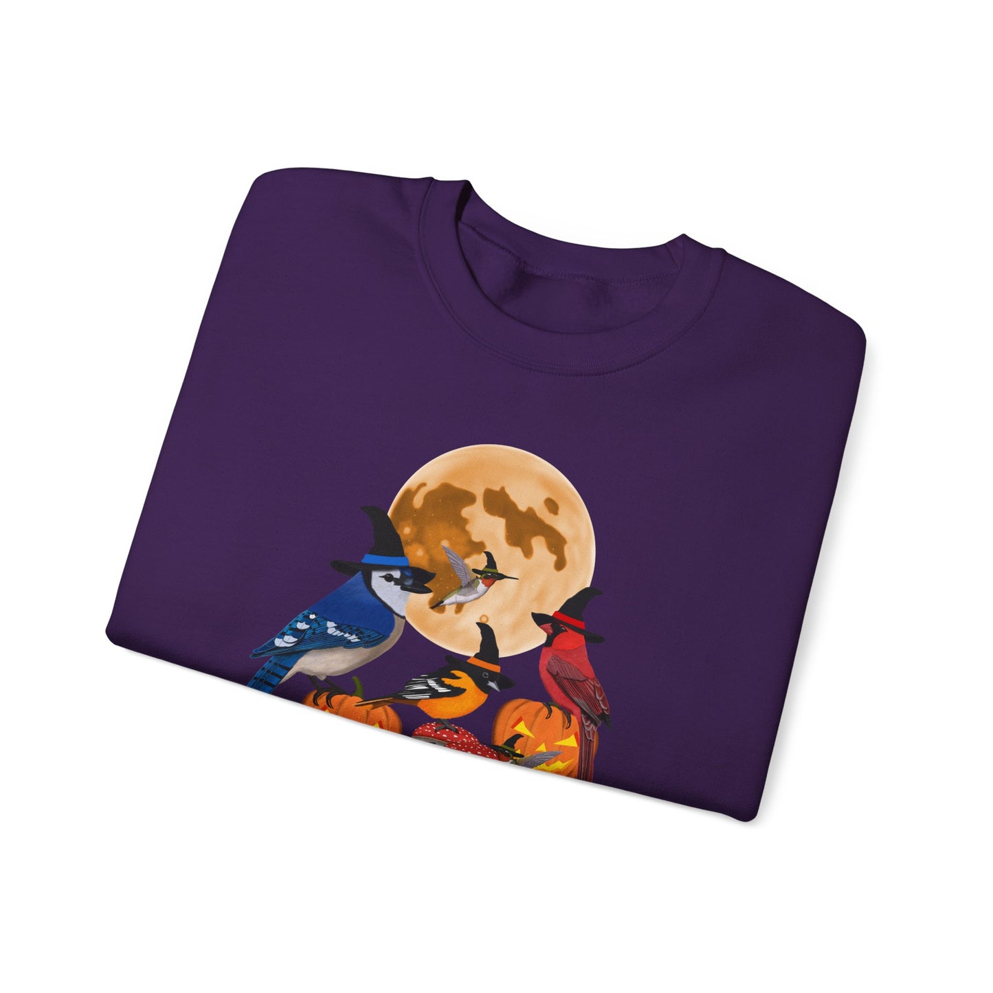 Blue Jay Cardinal Oriole Hummingbird Halloween Birds Witch Birdwatcher Sweatshirt