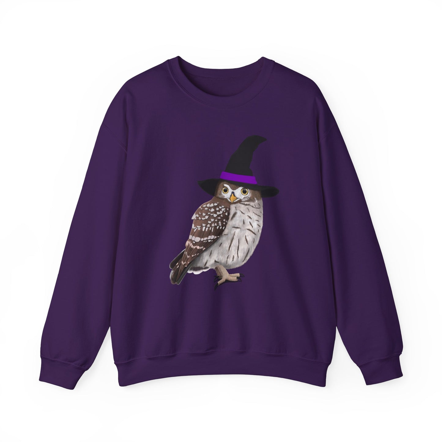 Owl Sweatshirt – Animal Lover Gift, Avian Enthusiast