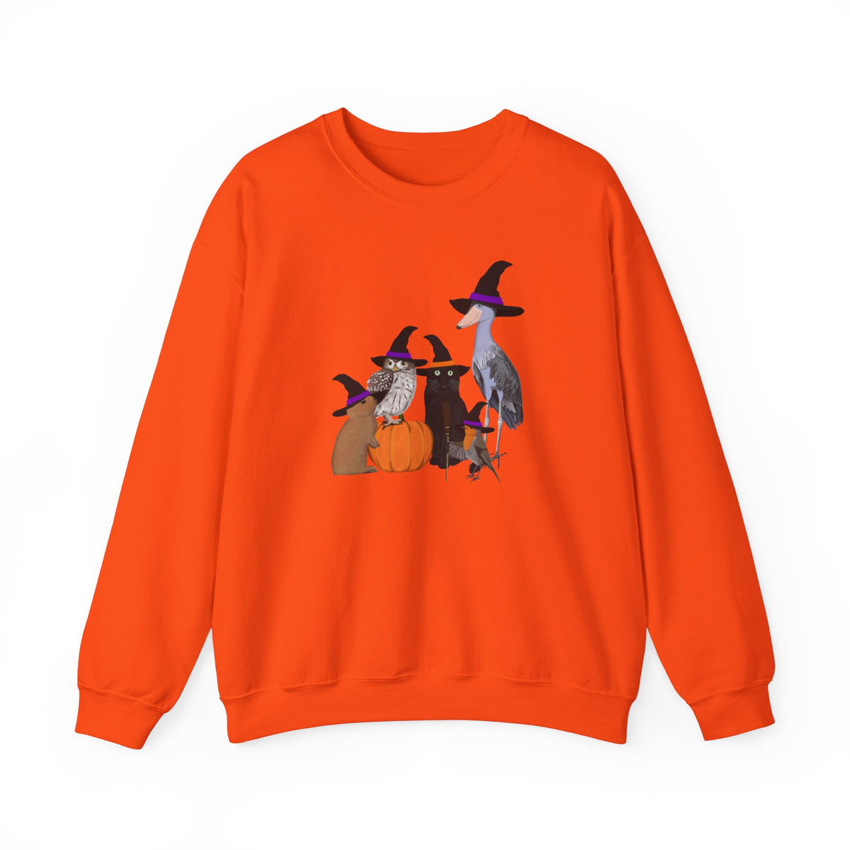 Shoebill, Robin and Owl Sweatshirt – Animal Lover Gift, Avian Enthusiast