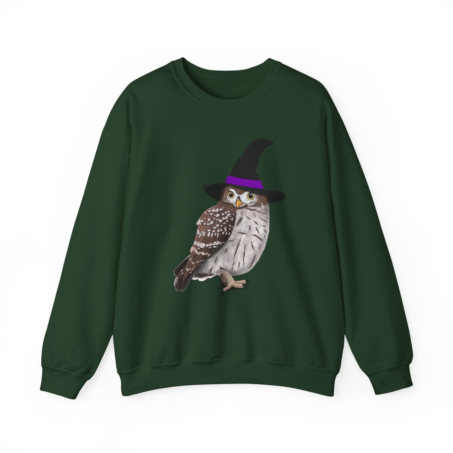 Owl Halloween Witch Birdwatcher Biologist Bird Sweatshirt