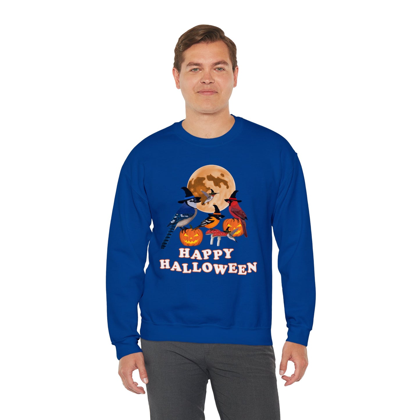 Blue Jay Cardinal Oriole Hummingbird Halloween Birds Witch Birdwatcher Sweatshirt