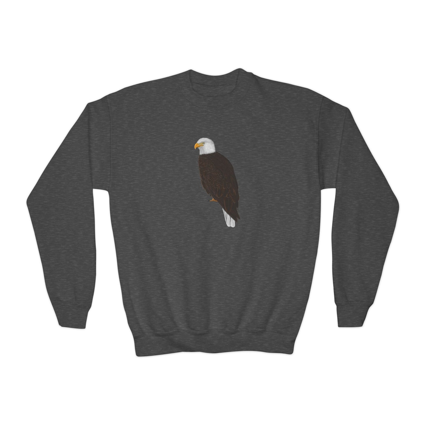 Eagle Youth Sweatshirts – Casual Kids Clothing, Cool Weather Outfit