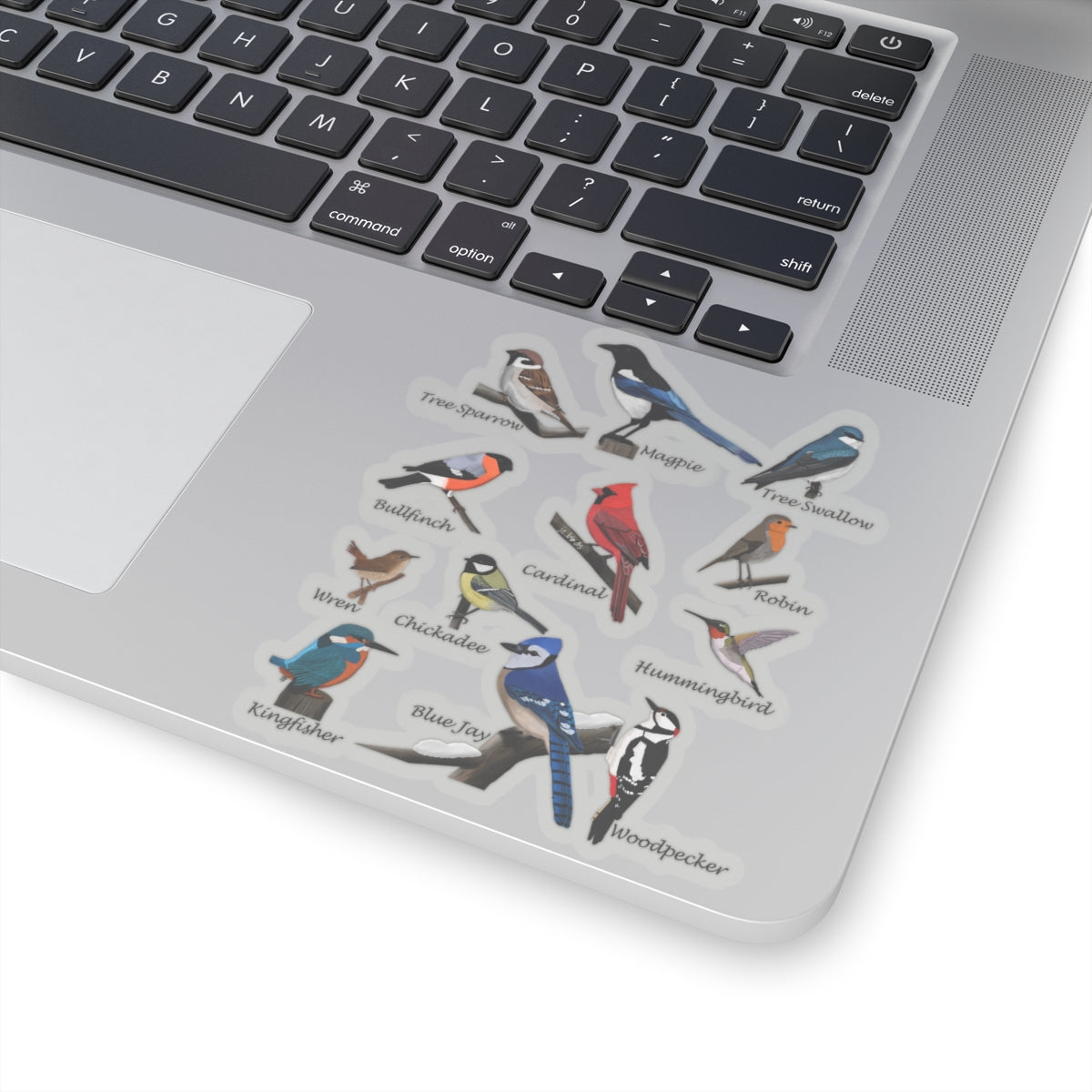 Garden Birds Blue Jay Cardinal Bullfinch Kiss-Cut Sticker - jz.birds