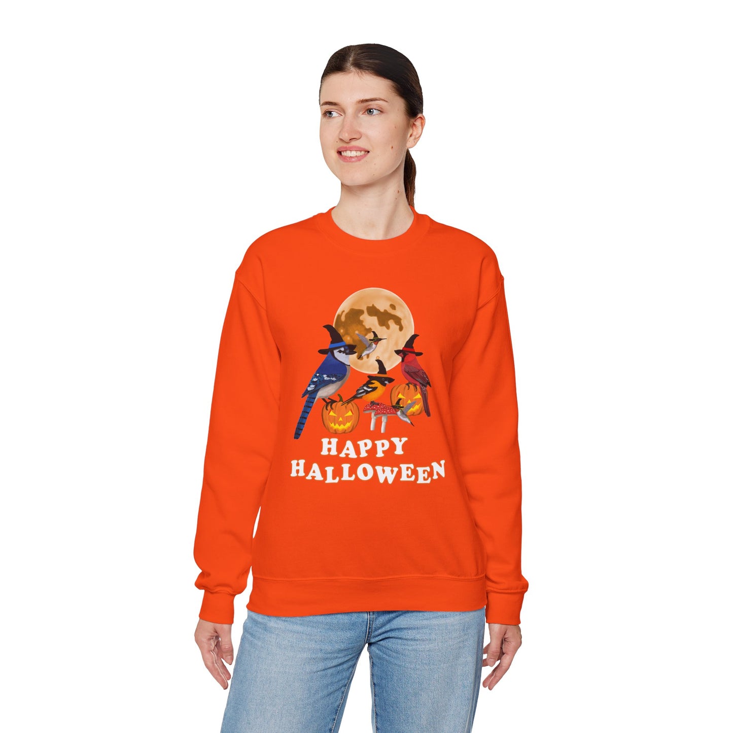 Blue Jay Cardinal Oriole Hummingbird Halloween Birds Witch Birdwatcher Sweatshirt