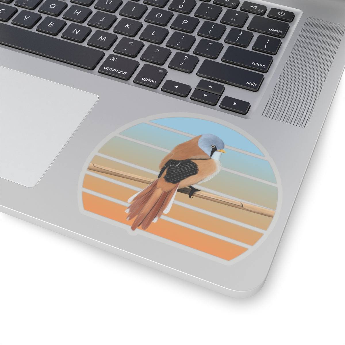 Bearded Reedling Bird Sticker