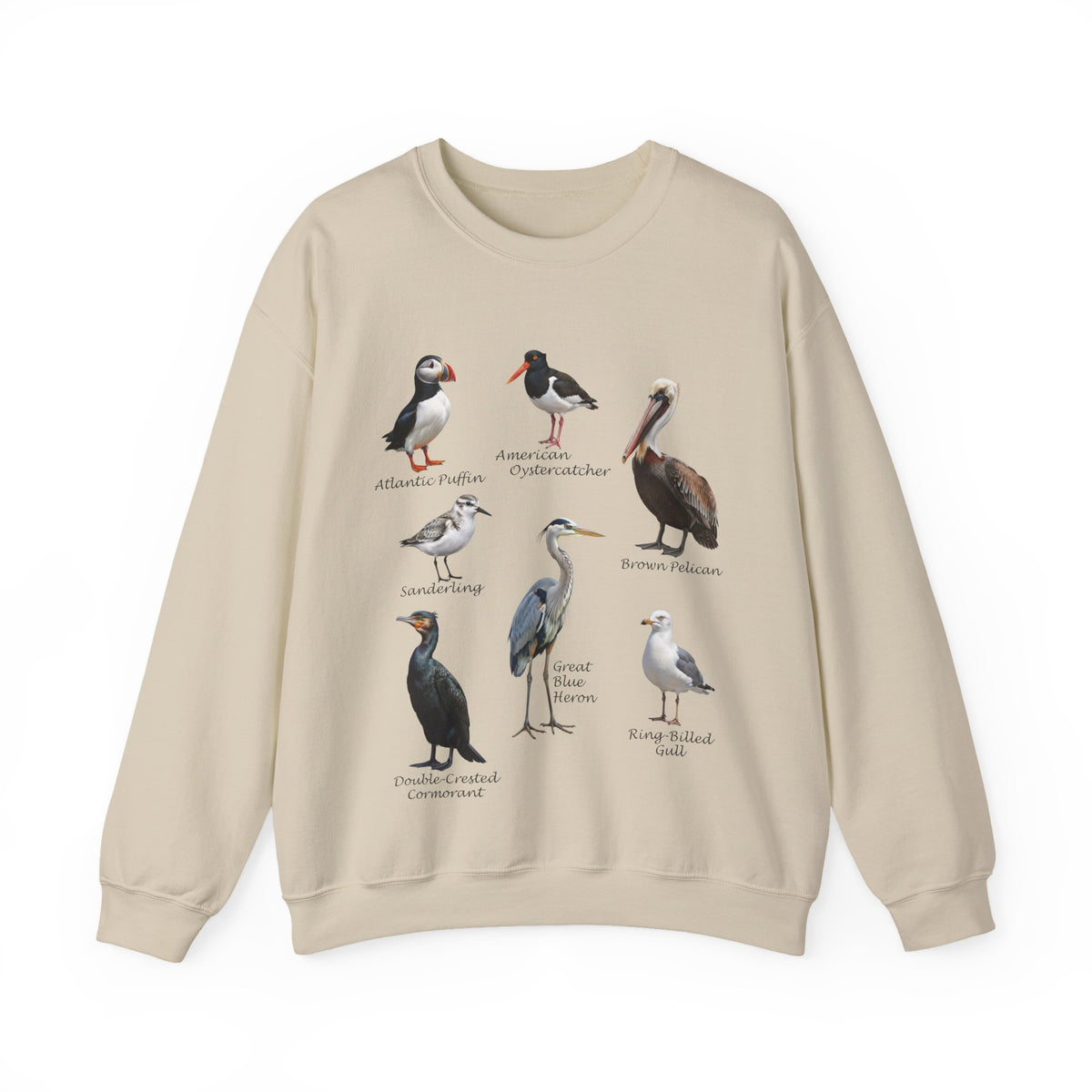 Pelican, Puffin and Heron Sweatshirt – Animal Lover Gift Avian Enthusiast style