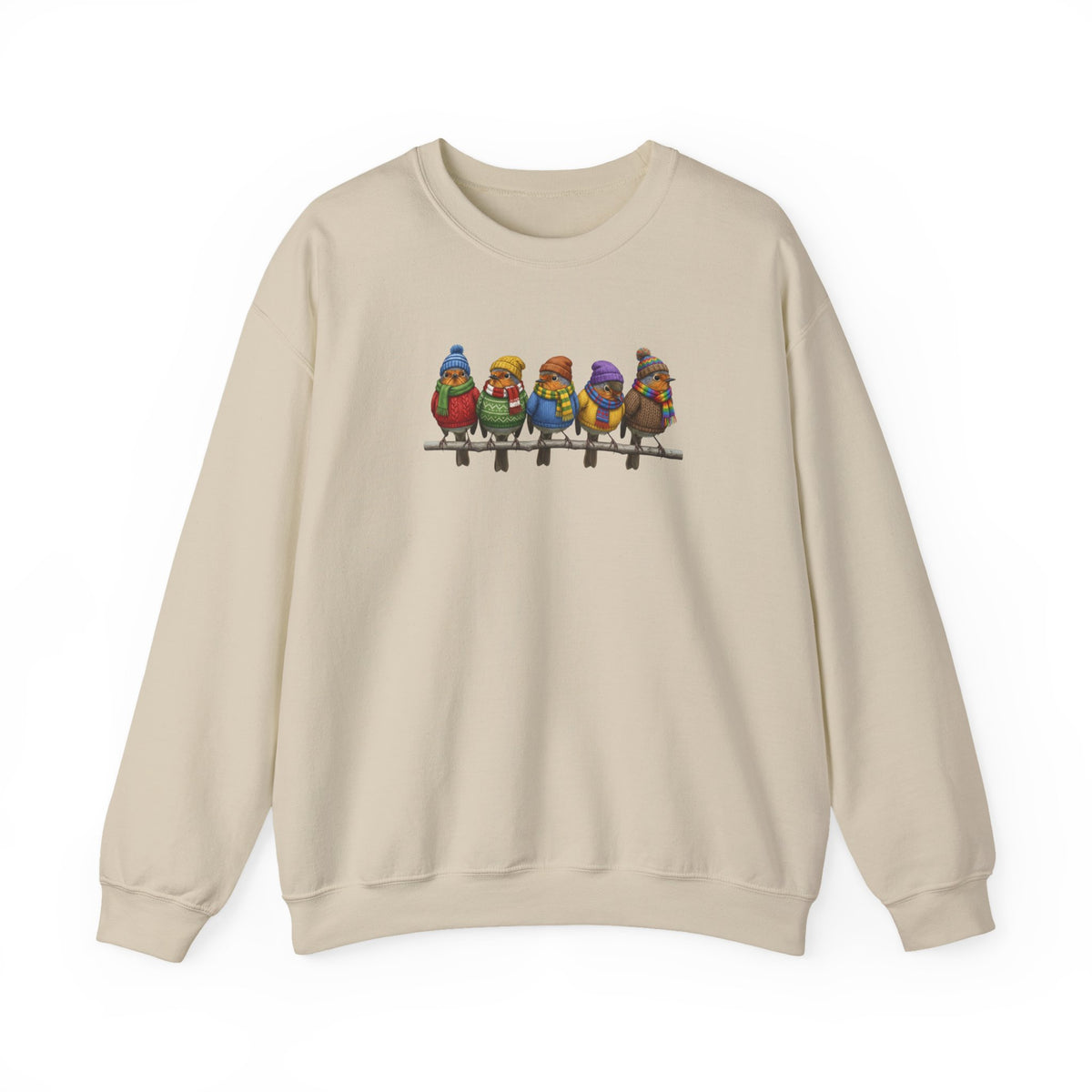 Robin Bird Sweatshirt – Animal Lover Gift, Avian Enthusiast