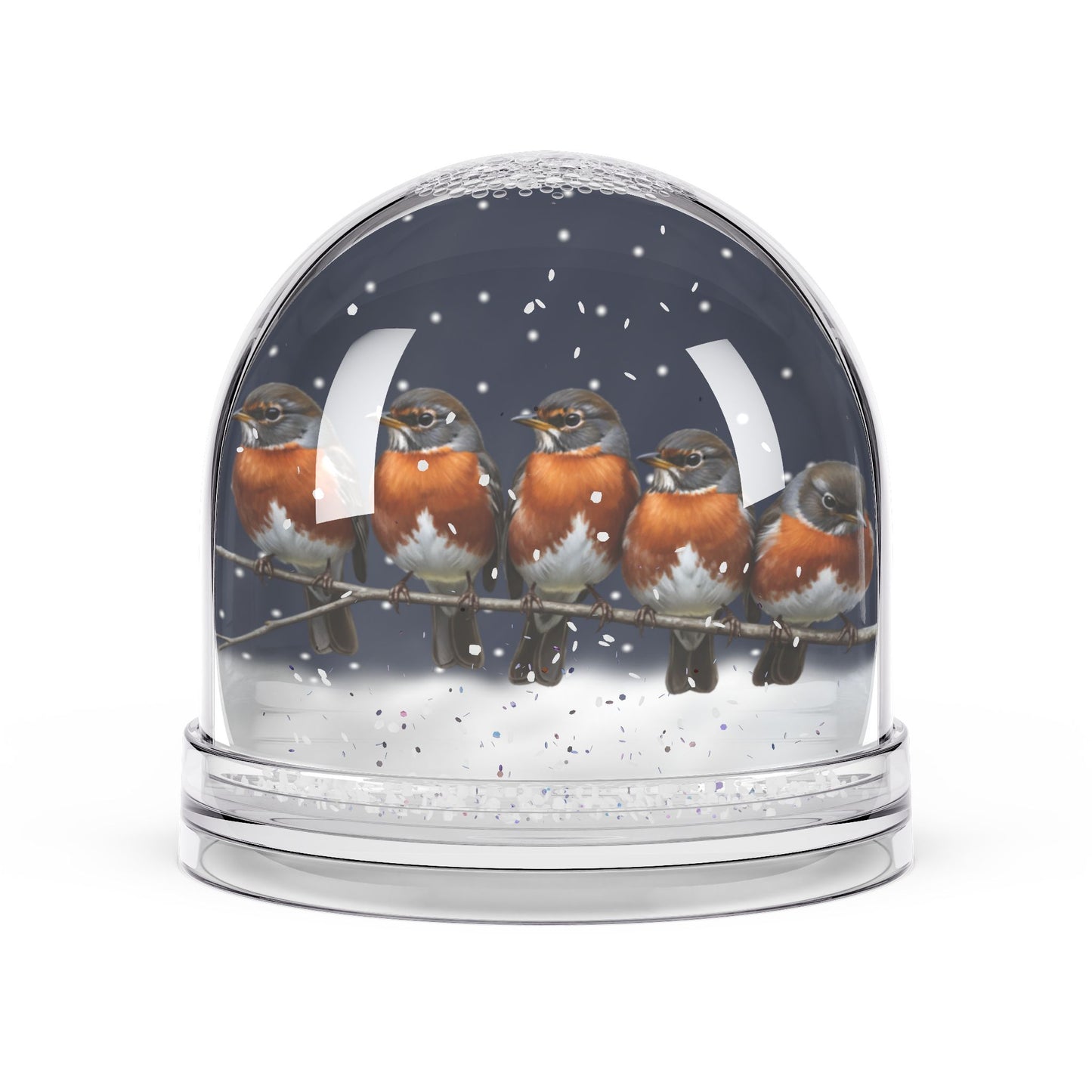 American Robin Birds Snow Globe | Double-Sided Christmas Gift for Bird Lovers