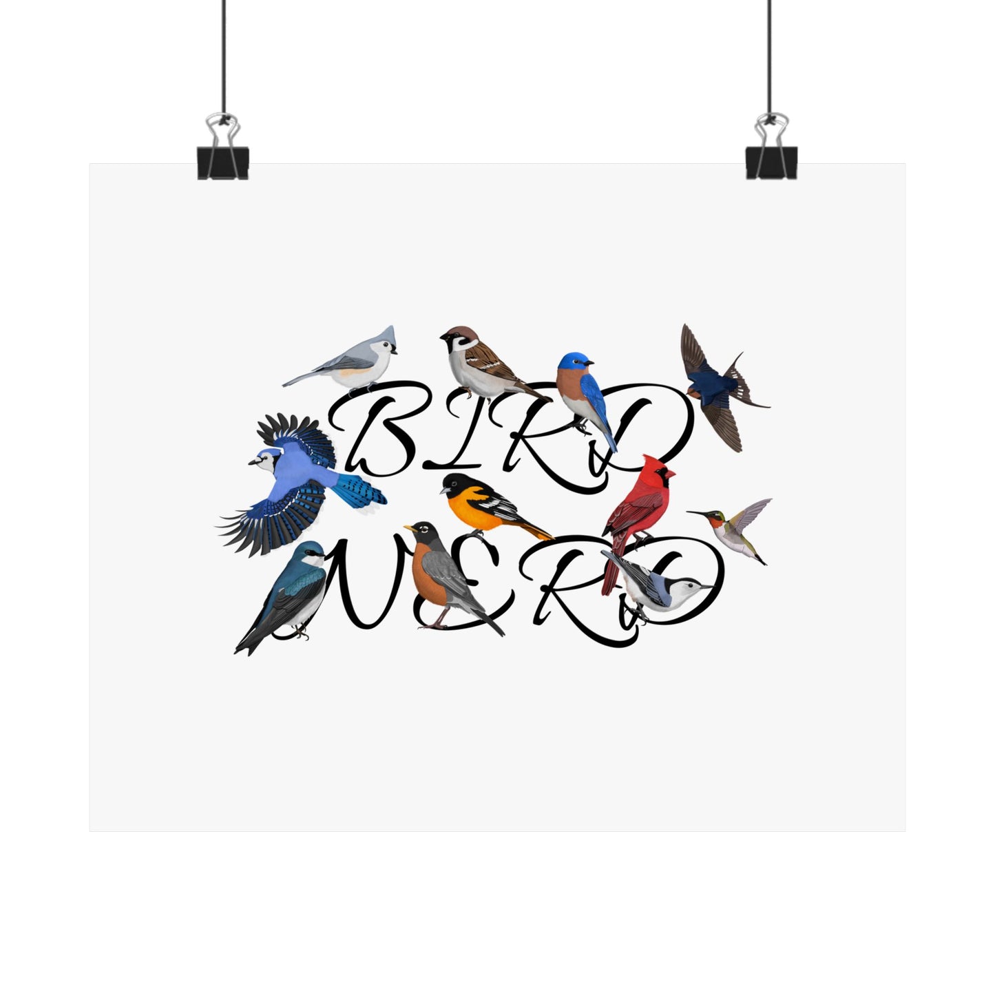 Bird Nerd Robin Cardinal Blue Jay Bird Birding Matte Poster