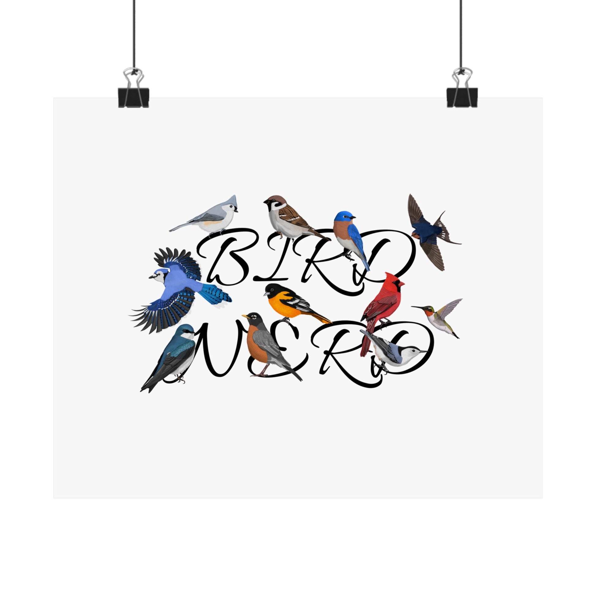 Bird Nerd Robin Cardinal Blue Jay Bird Birding Matte Poster