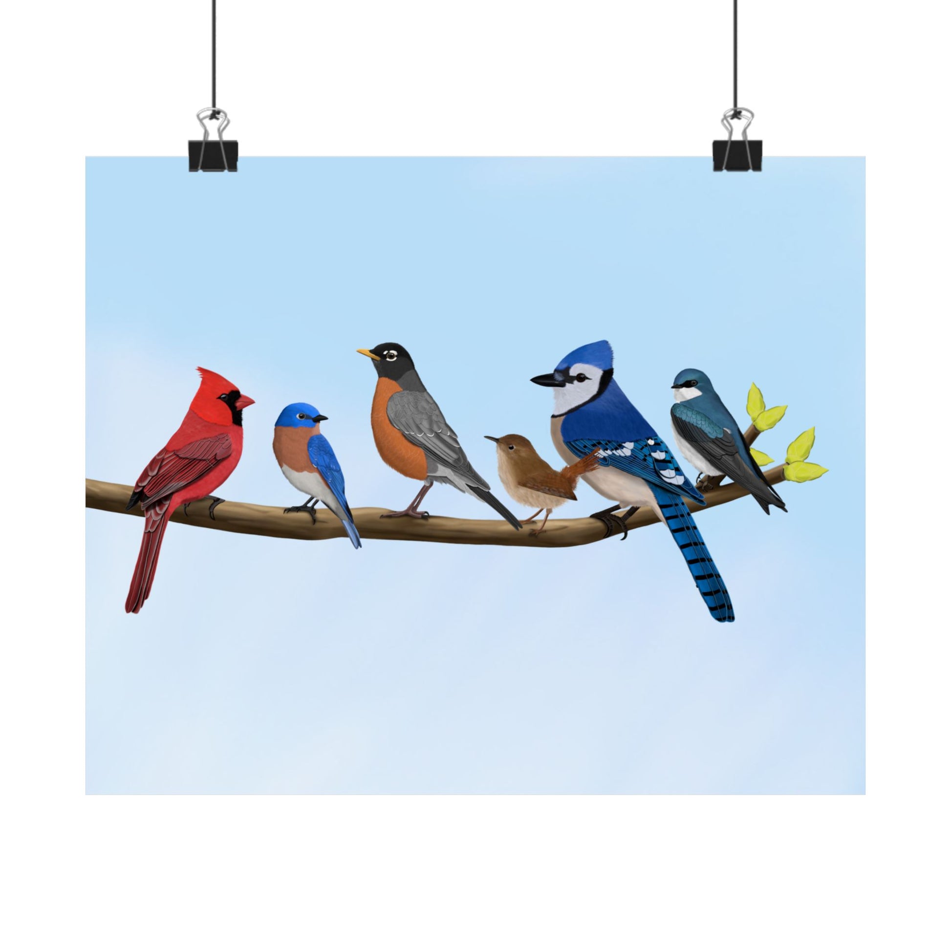 Birds on a Branch Poster Robin Blue Jay Bluebird Cardinal Wren Tree Swallow Bird Lovers & Bird Watchers