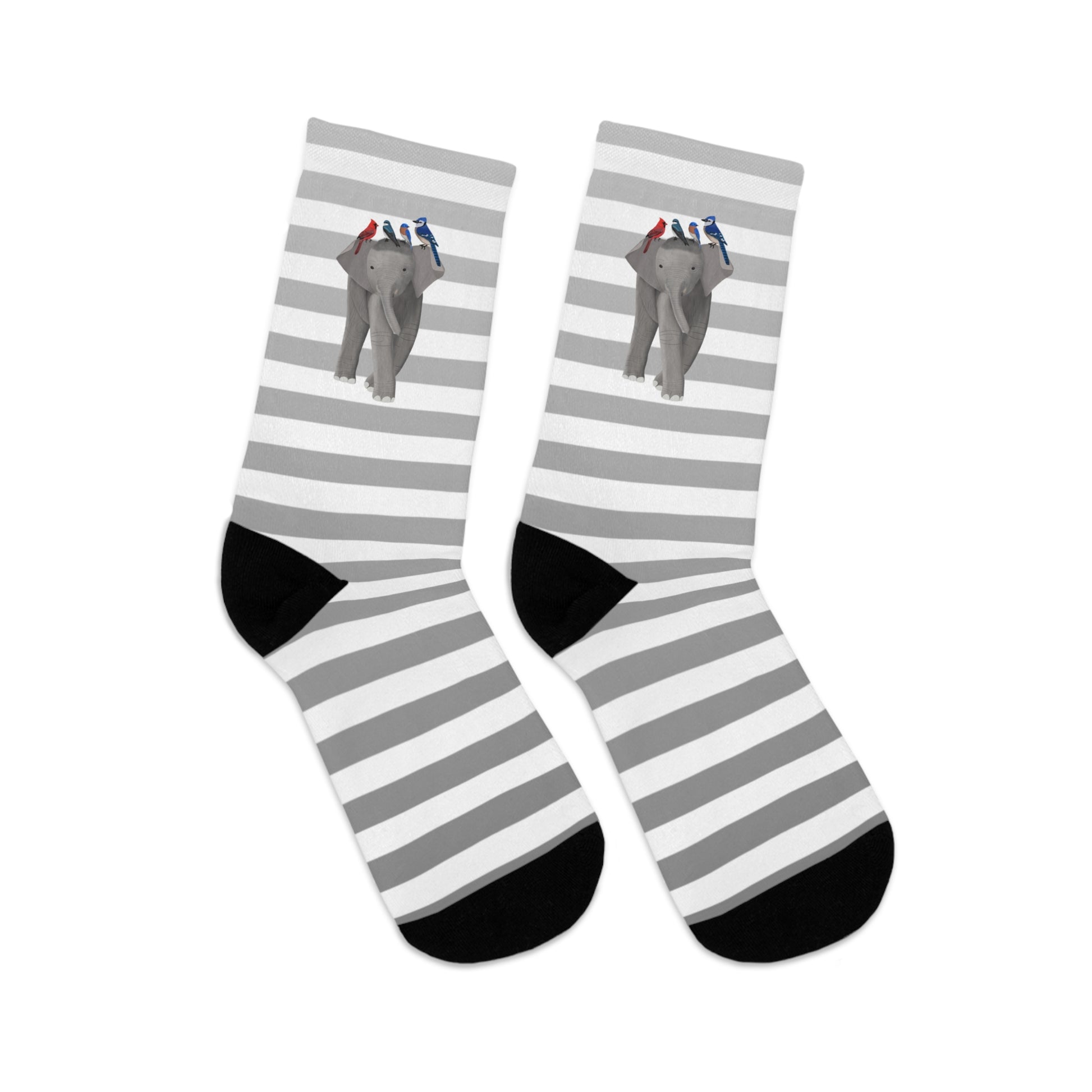 Blue Jay Bluebird Cardinal Birds with Elephant Stripes Grey White Socks