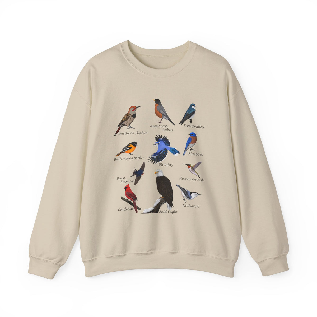 Blue Jay Cardinal Oriole Robin Hummingbird Birding & Birdwatching Bird Sweatshirt