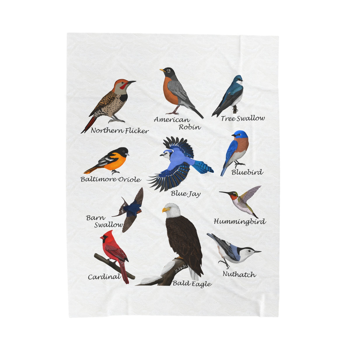 Blue Jay Cardinal Robin Bluebird Hummingbird Backyard Birds Velveteen Plush Blanket