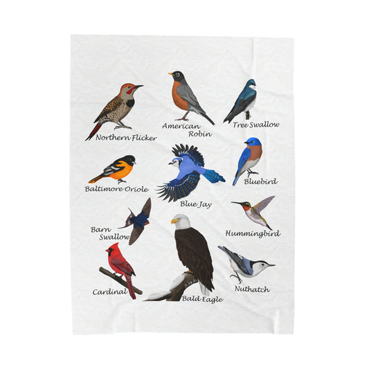 Blue Jay Cardinal Robin Bluebird Hummingbird Backyard Birds Velveteen Plush Blanket