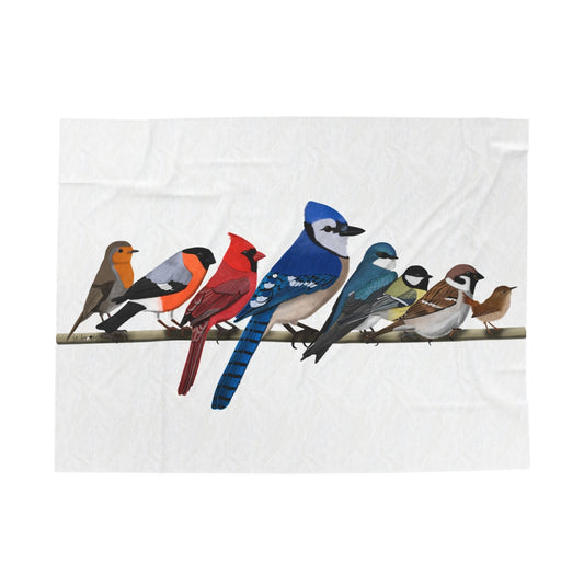 Blue Jay Cardinal Robin Bluebird Hummingbird Backyard Birds on a Branch Velveteen Plush Blanket