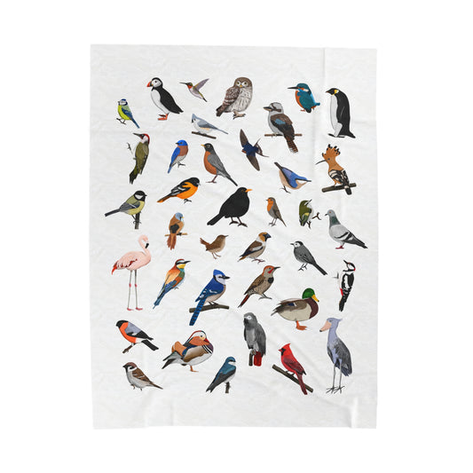 Blue Jay Cardinal Robin Bluebird Hummingbird Oriole Backyard Birds Velveteen Plush Blanket White