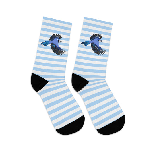 Blue Jay Stripes Blue White Birding & Birdwatching Bird Socks