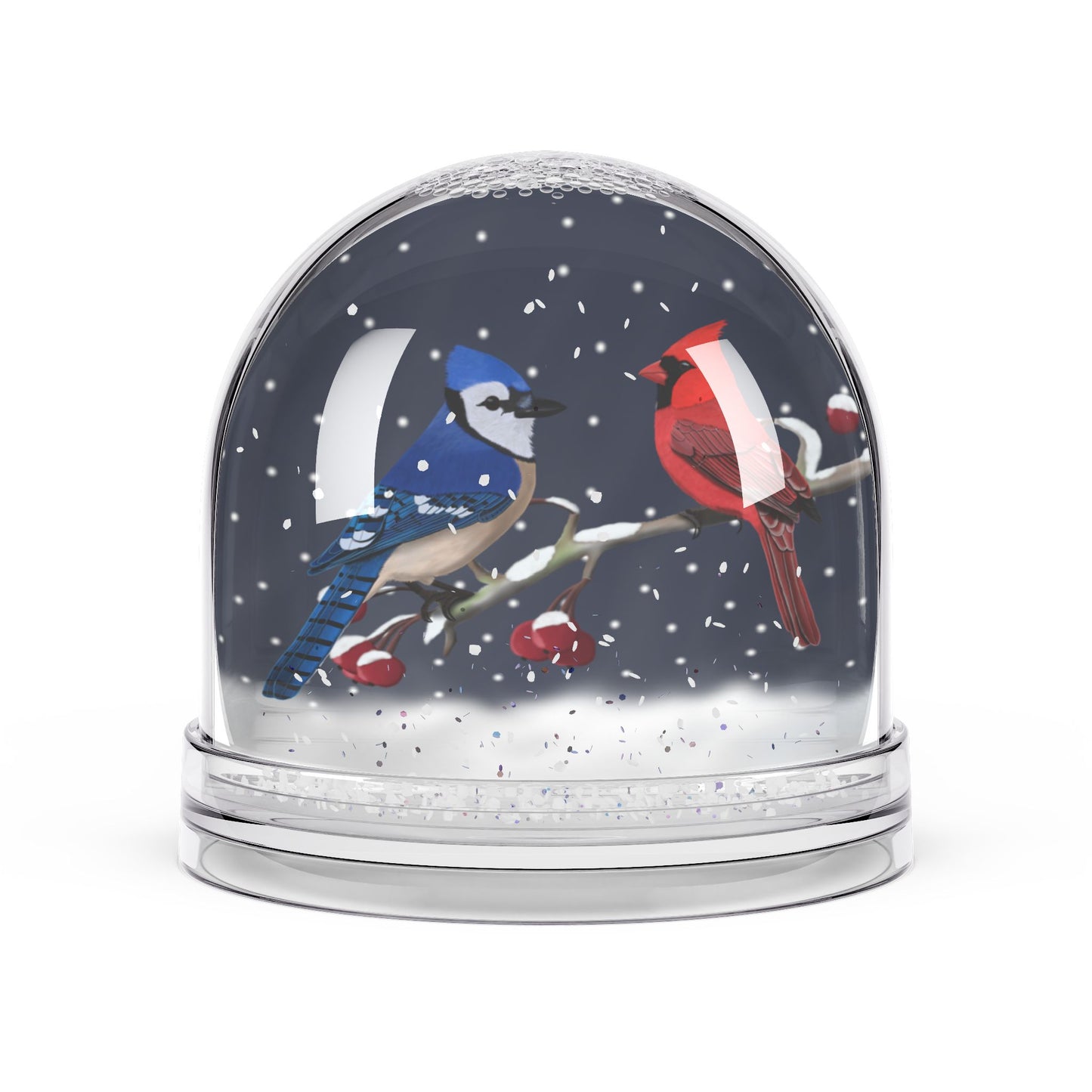 Blue Jay and Cardinal Birds Snow Globe | Double-Sided Christmas Gift for Bird Lovers
